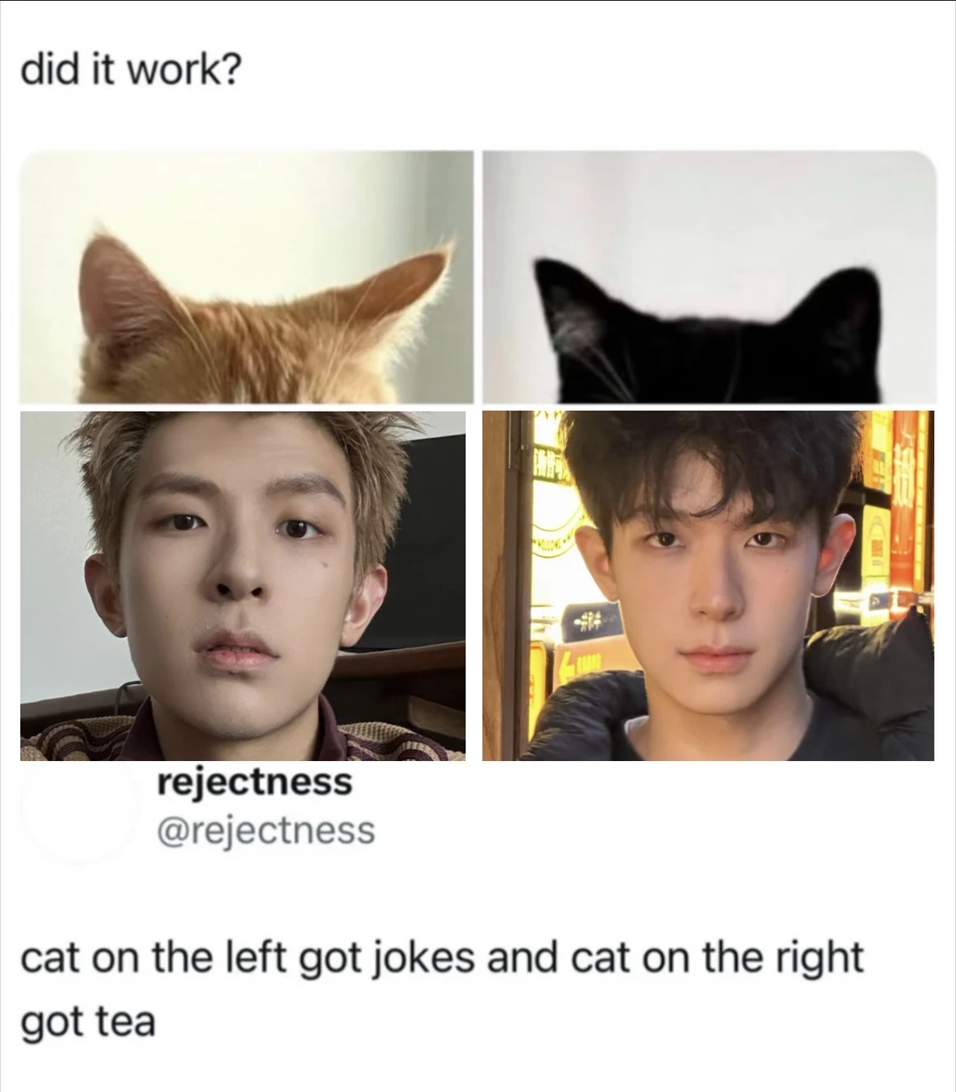 势均力敌的我们喵