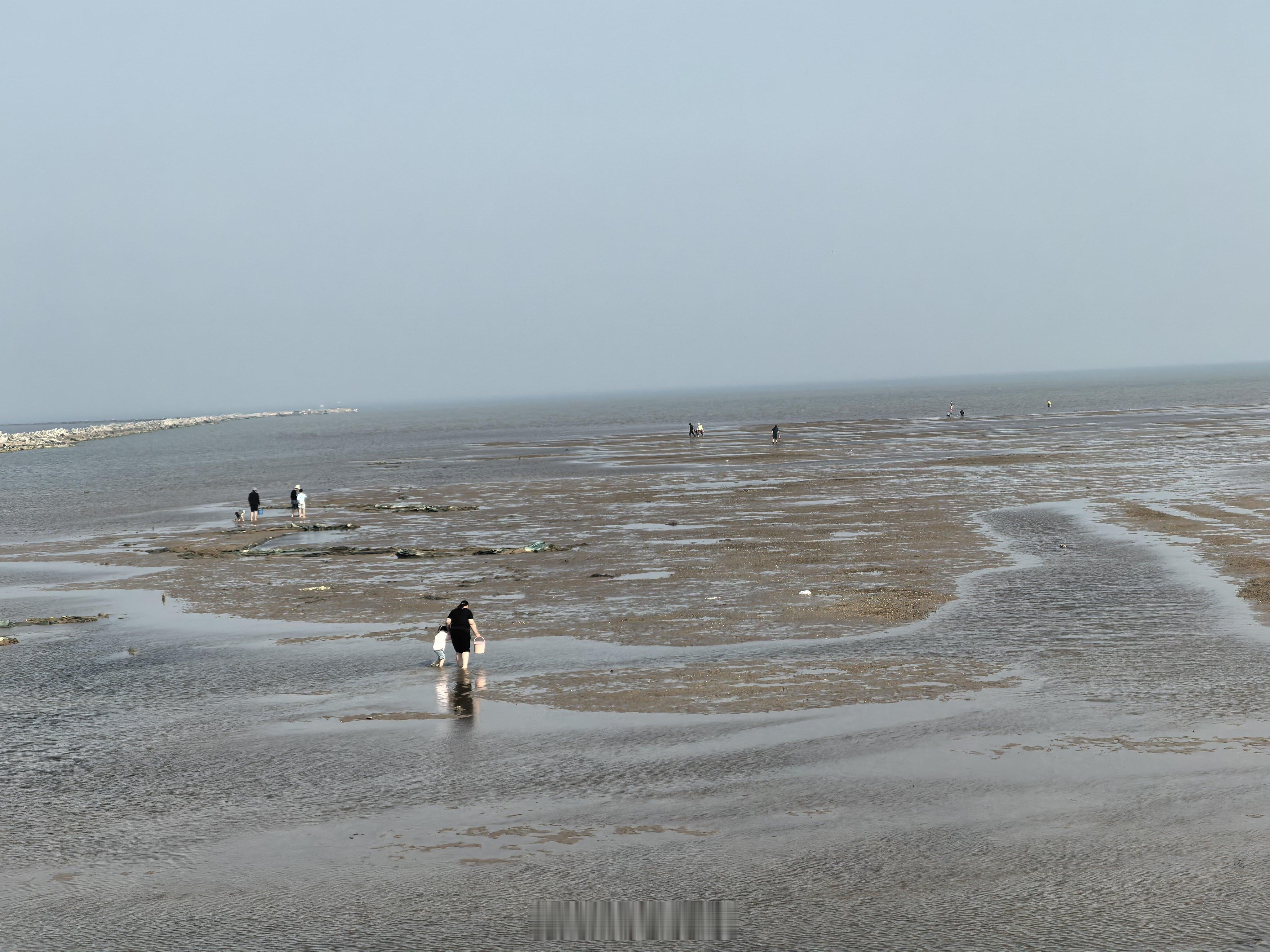 趣游垦利  来孤东海堤体验半下午的轻松时刻，悠闲自在，吹着海风放空自己，这个节日