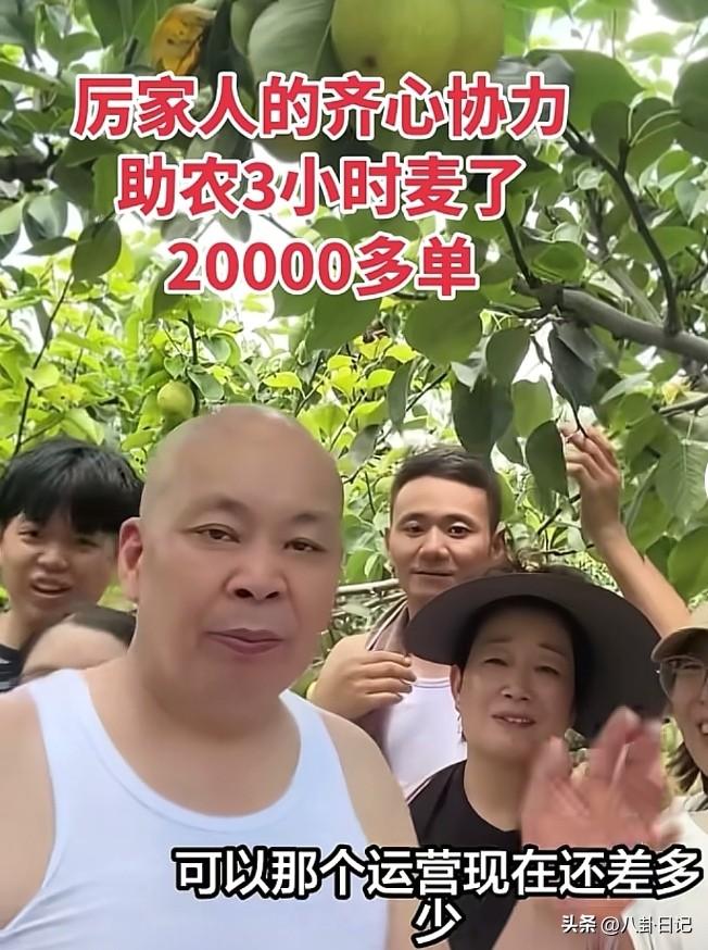 厉家人团结一致，在40多度的烈日下，3小时就完成了20000单梨的目标，估计超越