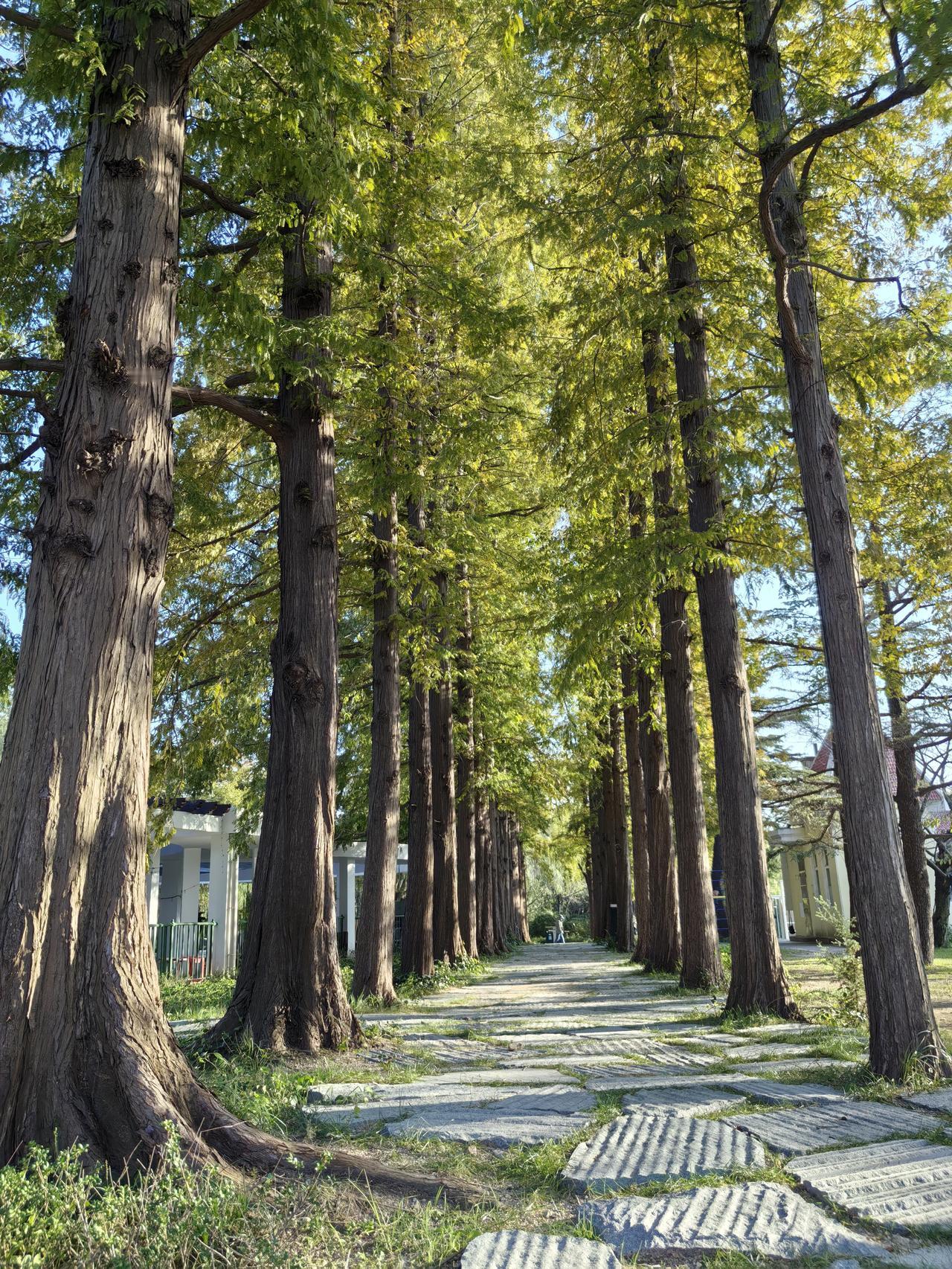 新起点到来之际确实很压抑

这个砸盘有点意外。

高开后直接反复震荡下跌。

比