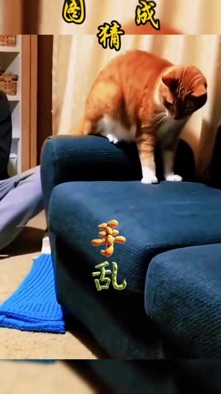 看图猜成语。
一手乱手机。
看图猜成语。