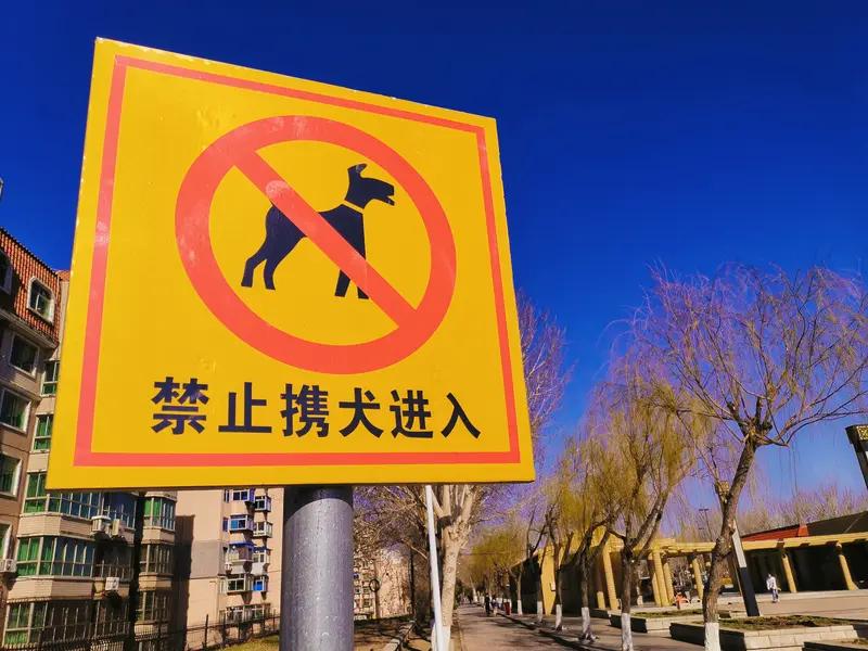 史上最严养狗新规来了，你准备好了吗？
 
狗狗是人类的好朋友，越来越多的人选择养