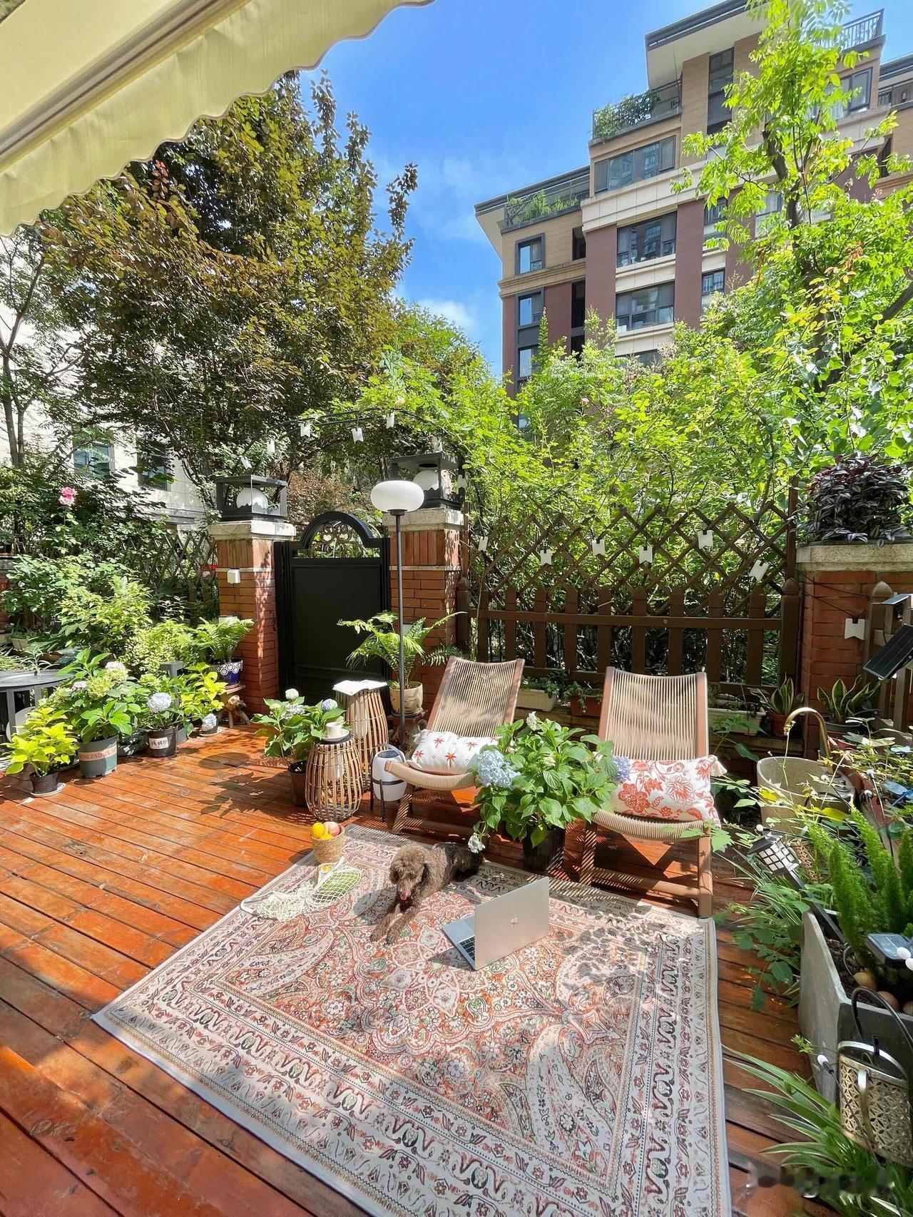 上了年纪，我不想再住电梯房了。
心里一直琢磨着弄套一楼带院子的房子，于是就把这想