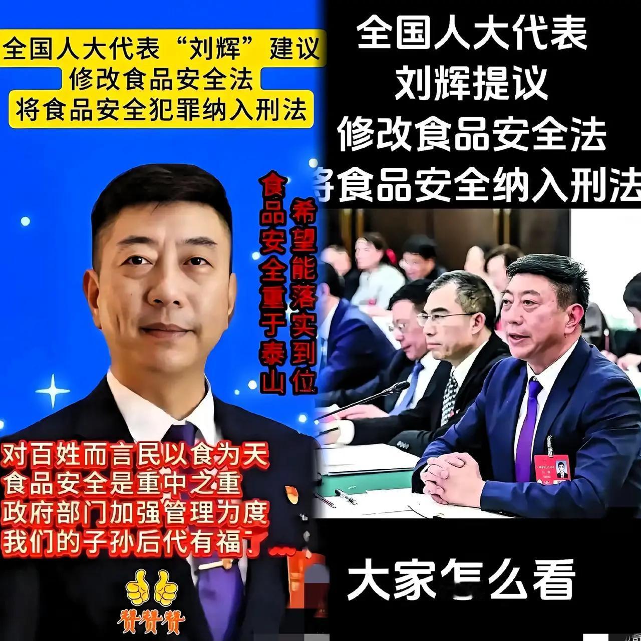 “全国人大代表刘辉
提出了一个令人瞩目的提案，食品安全纳入刑法

都支持吧白块”