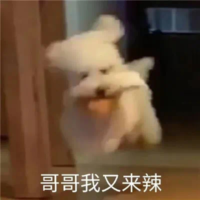 我准备好了我准备好了我准备好了我准备好了我准备好了随时迎接来来汪汪#王一博长风破