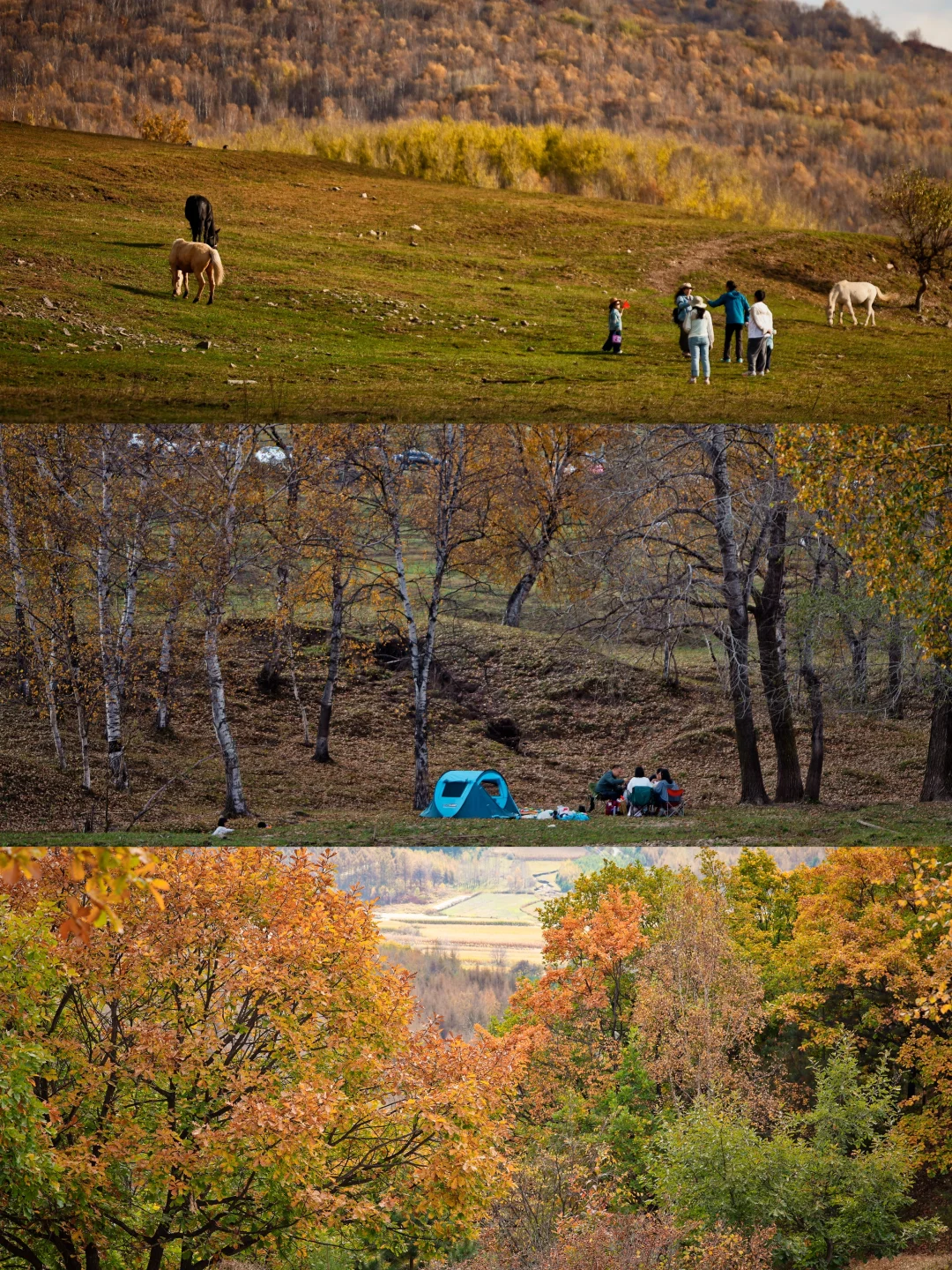 赤峰美林谷🆓没走环线，玩的真挺开心的