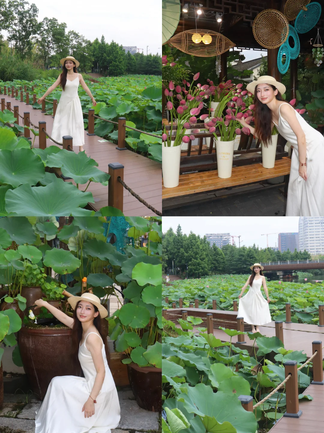 上海！夏日🪷荷花水上集市！还有猫猫神巡游