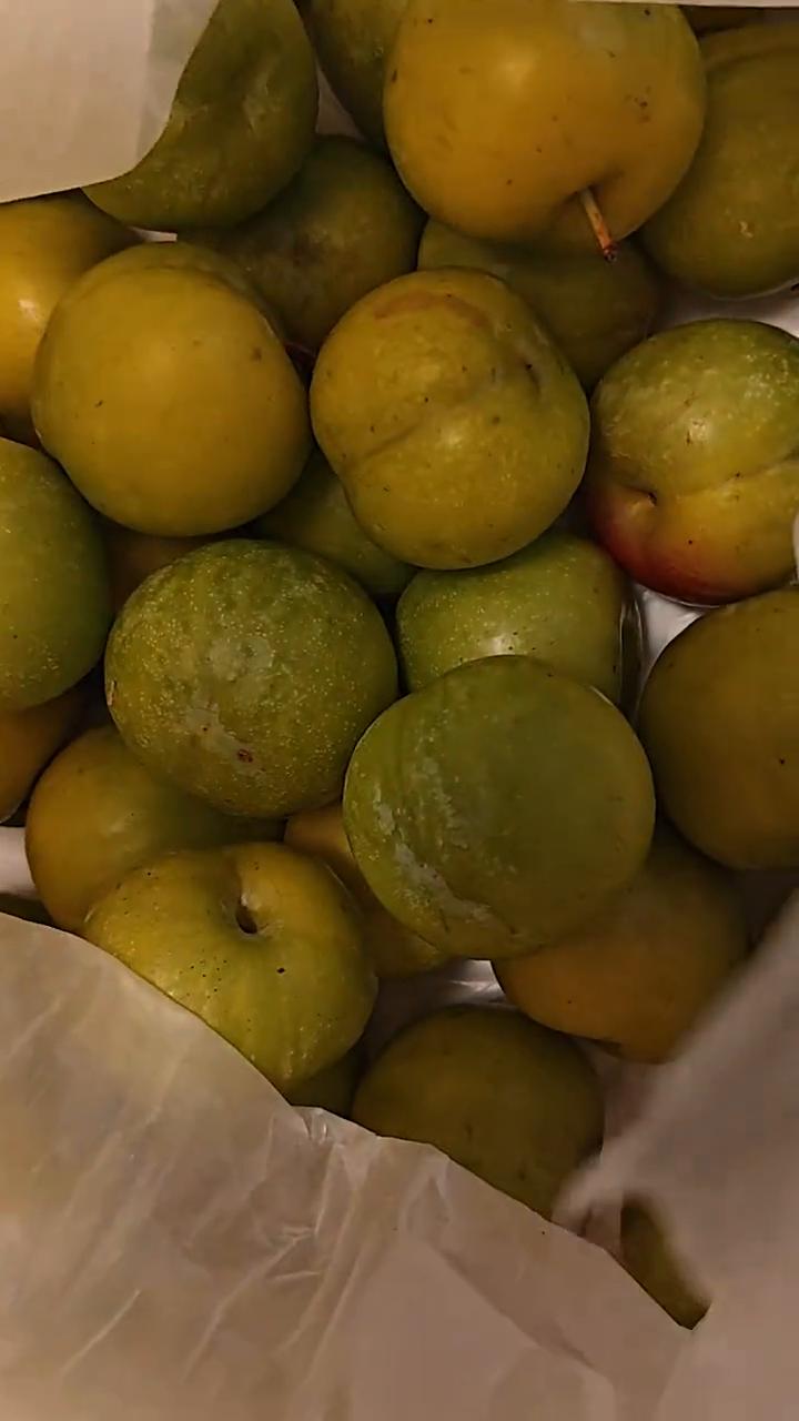 感冒。