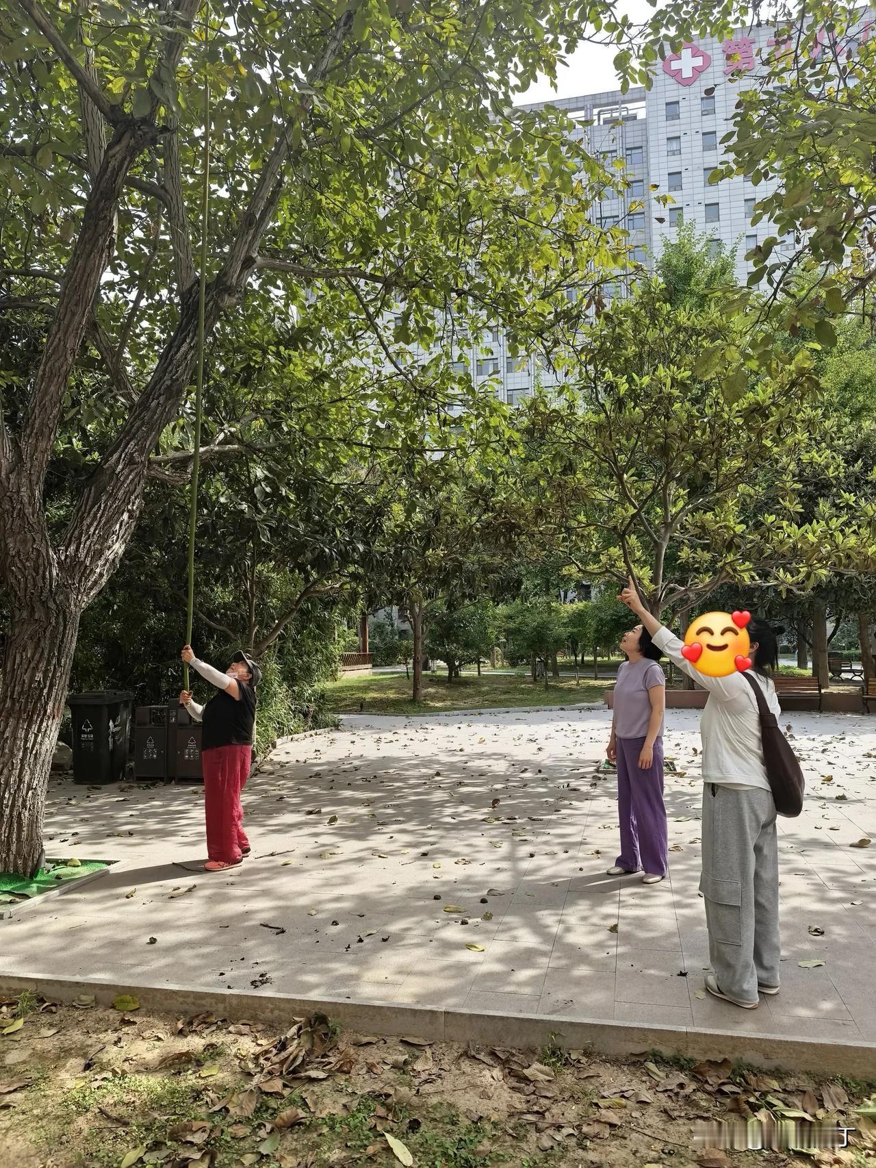 异性是传宗接代，同性才是真爱哈。深圳表姐是晚上突然到我家的，第2天一大早我就带她