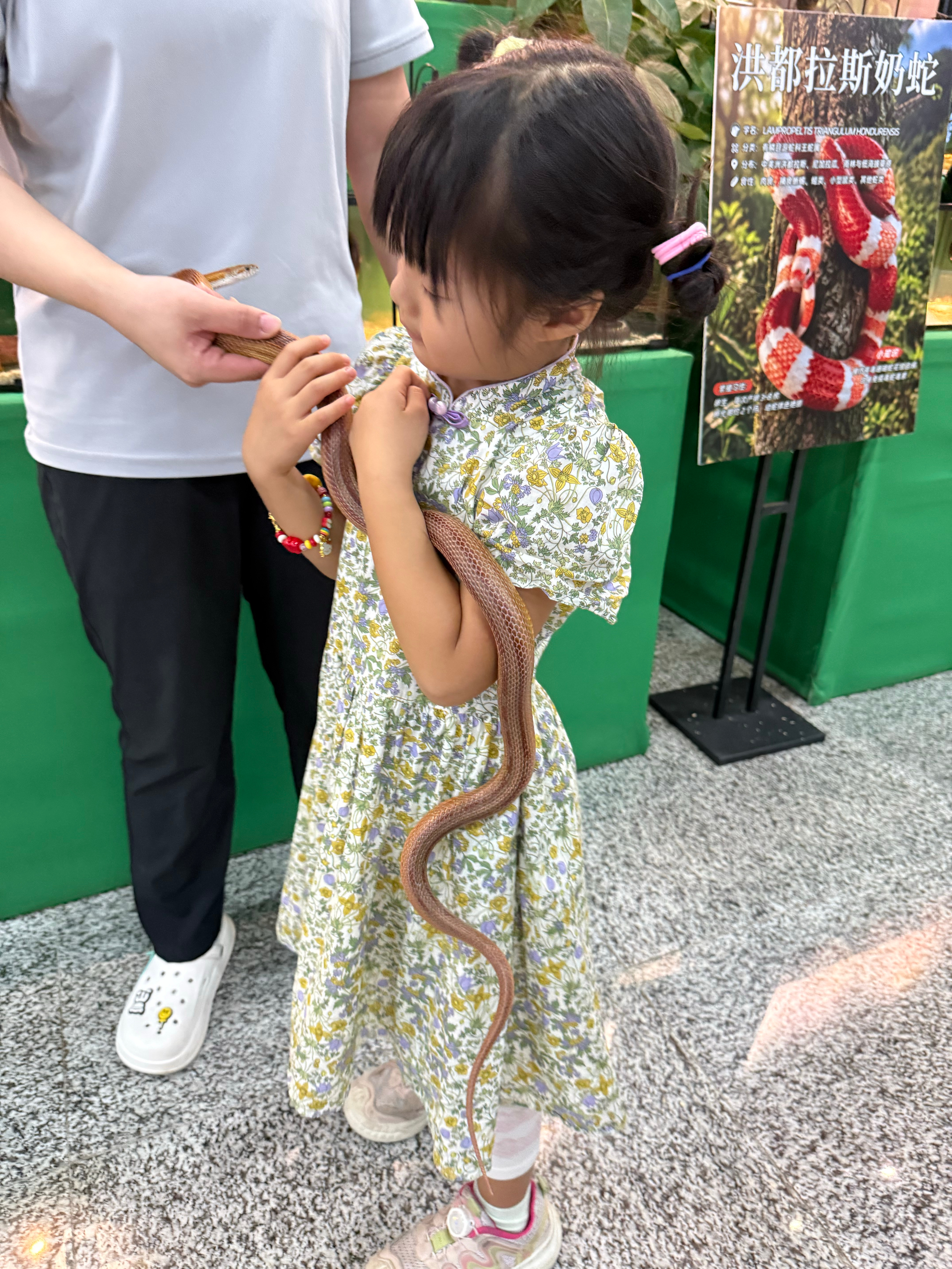 今天意外发现妹很喜欢爬宠，一点也不怕
