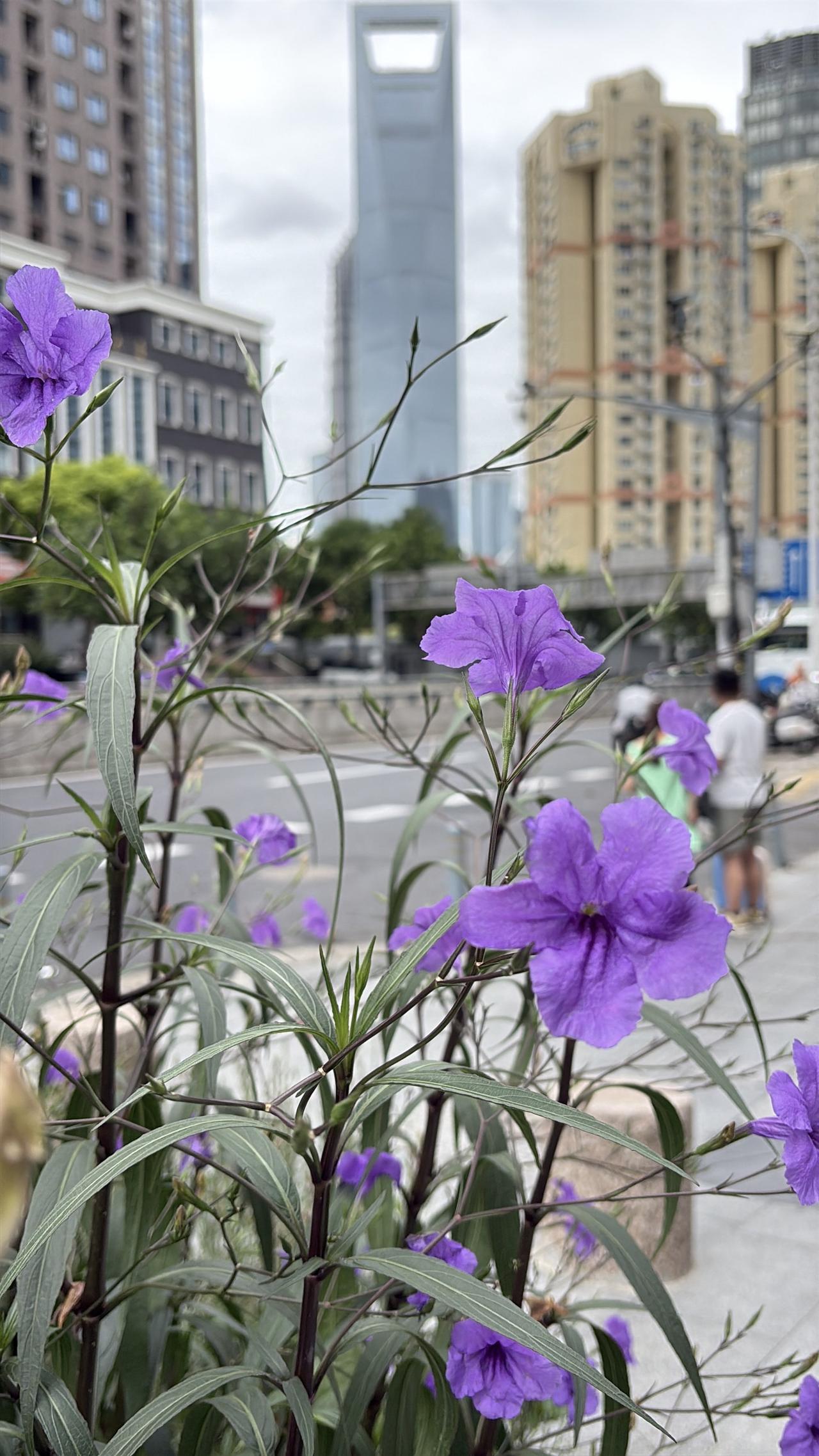 我场内基金和场外基金都买，但场外基金的收益比场内基金的收益高多了。

以前我只买