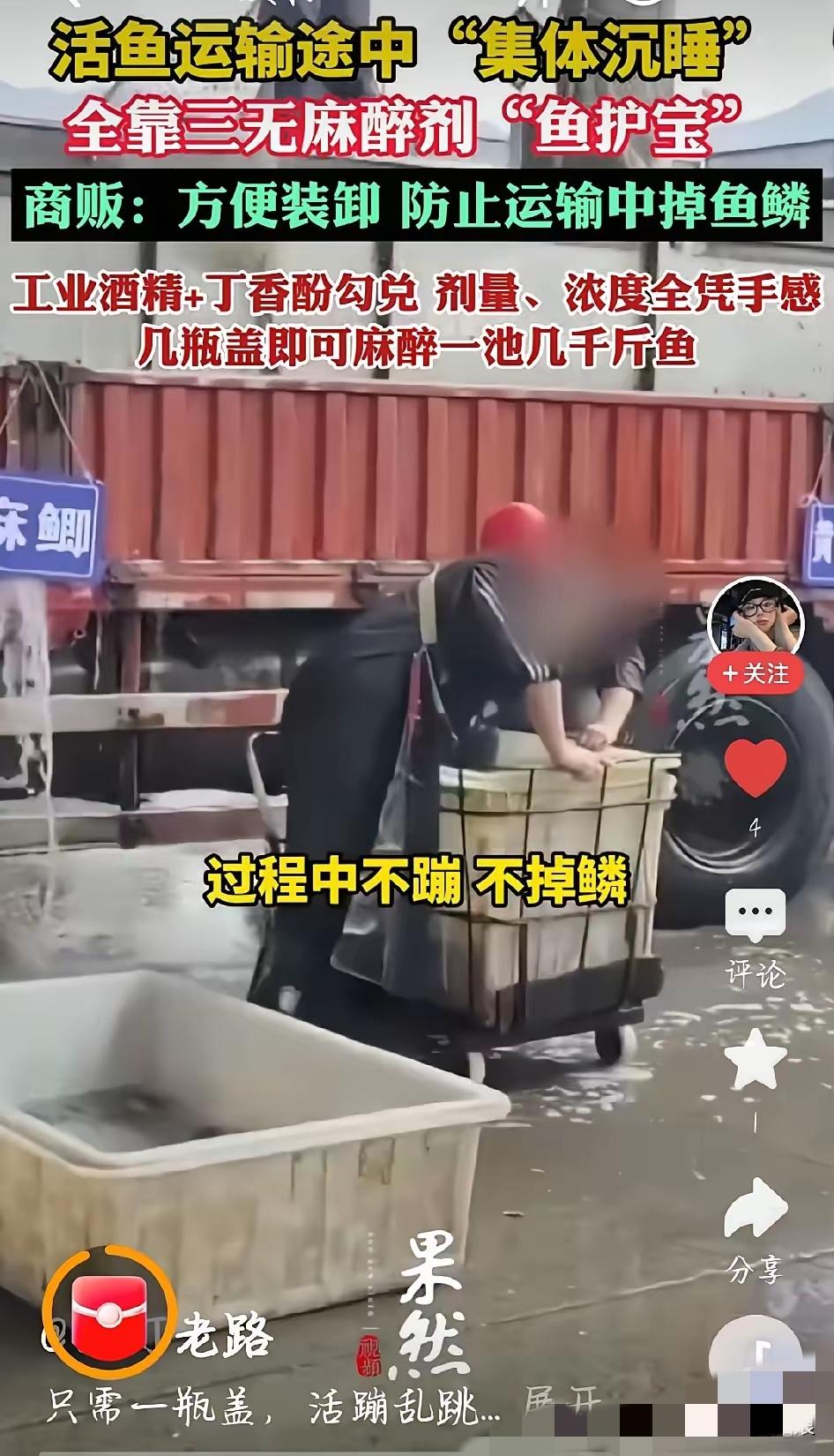 太缺德！你吃的活鱼，可能是被灌了麻药的“毒鱼”！


央视曝光后才知道，不少水产