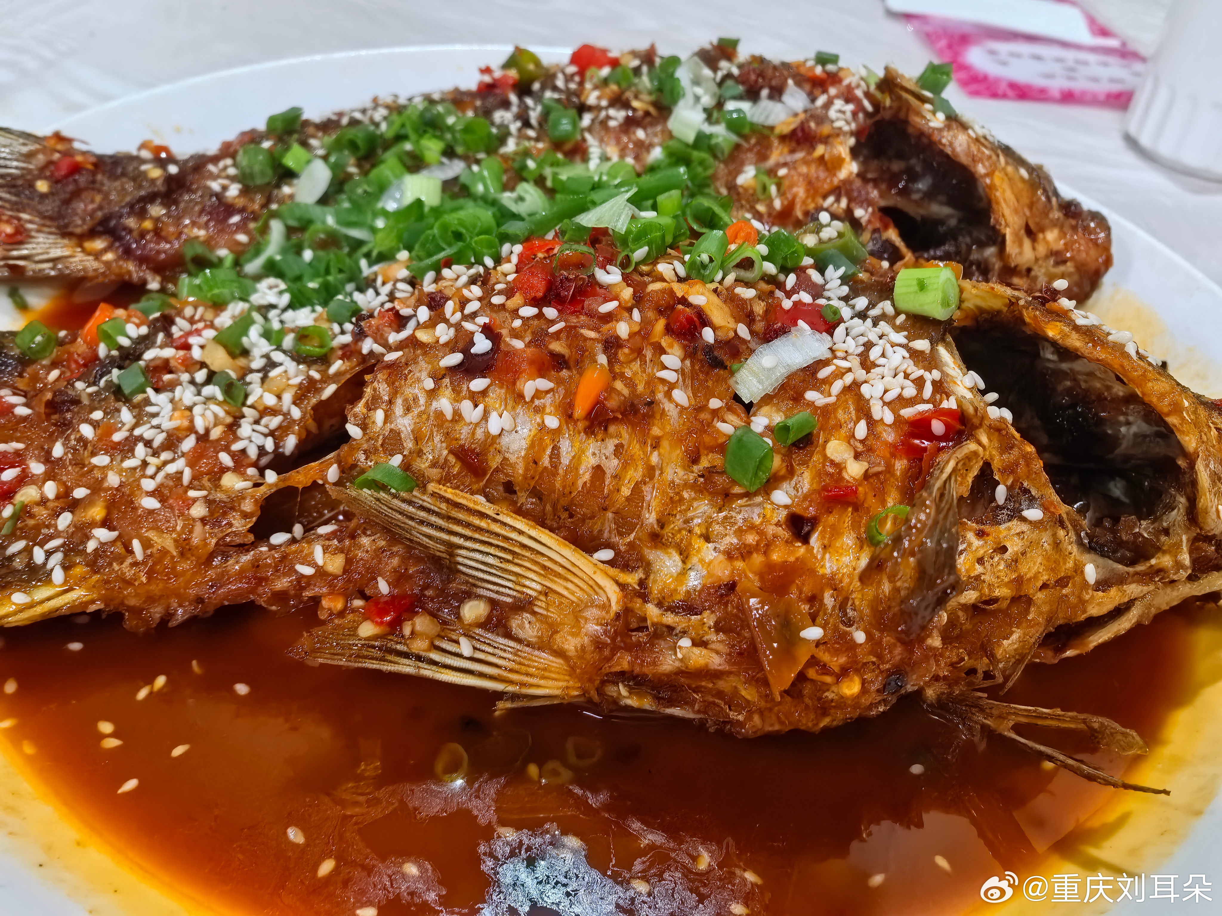 奔赴北碚，打卡本地人口中的苍蝇馆子。没有华丽装修，藏在居民楼下，开了多年，不做团