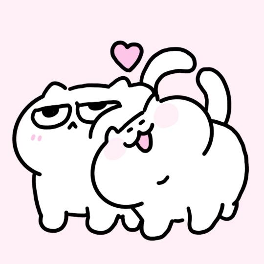 理我一下嘛♡