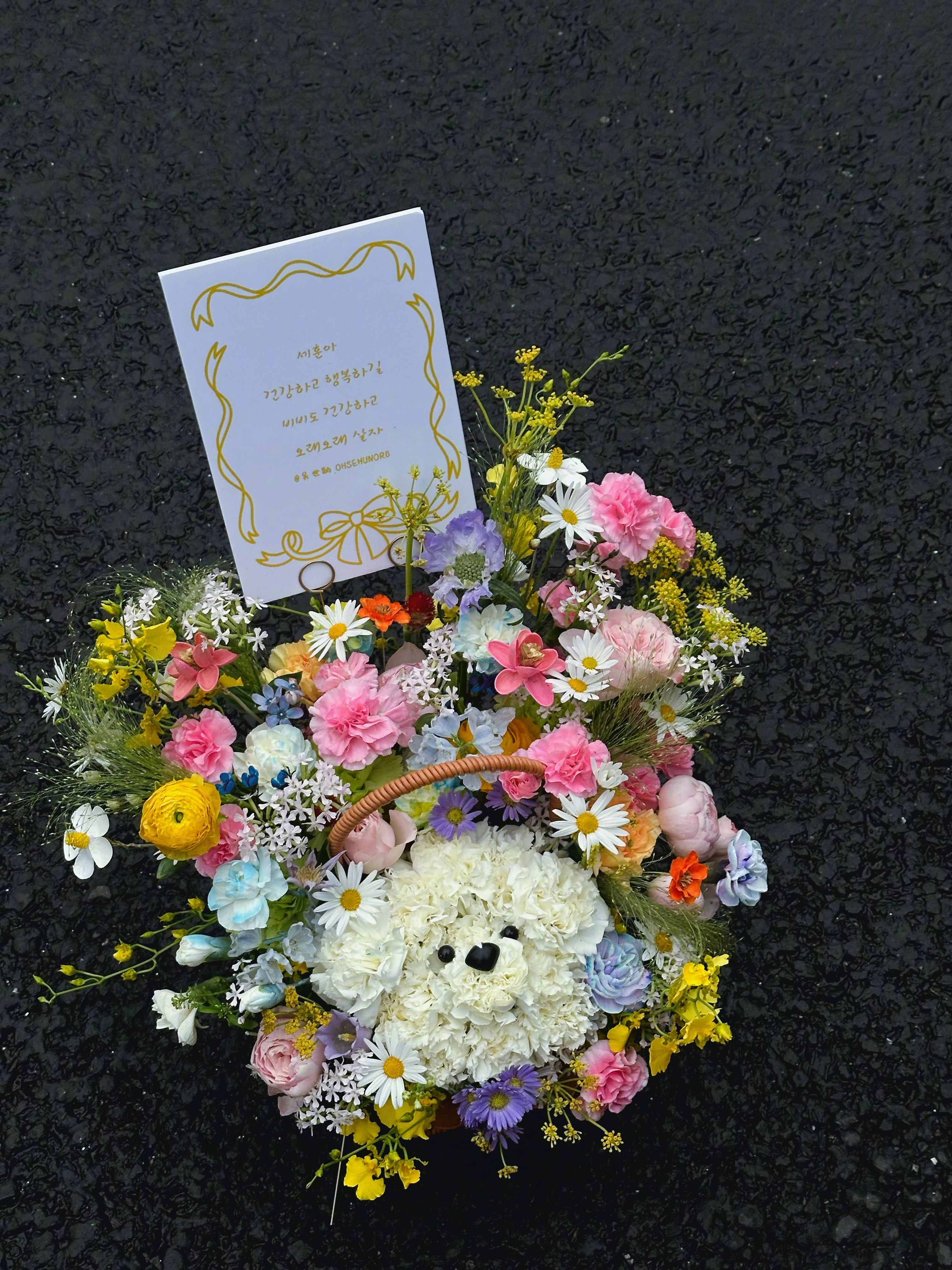 吴世勋看到这个喜欢坏了 