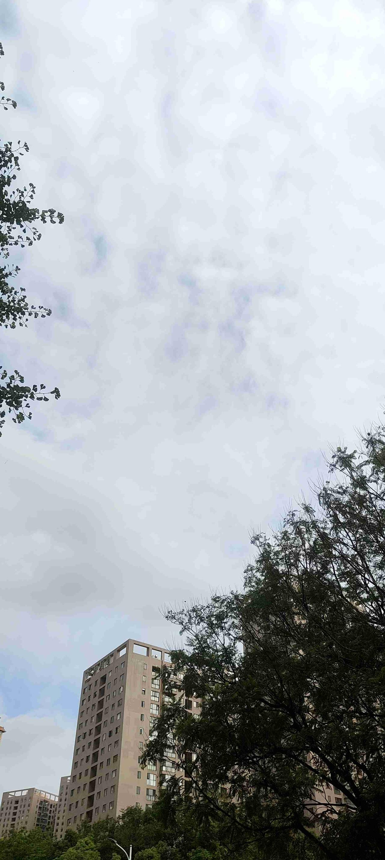 我的今日状态：😁轻松愉快
我这里的天气：☁️阴天