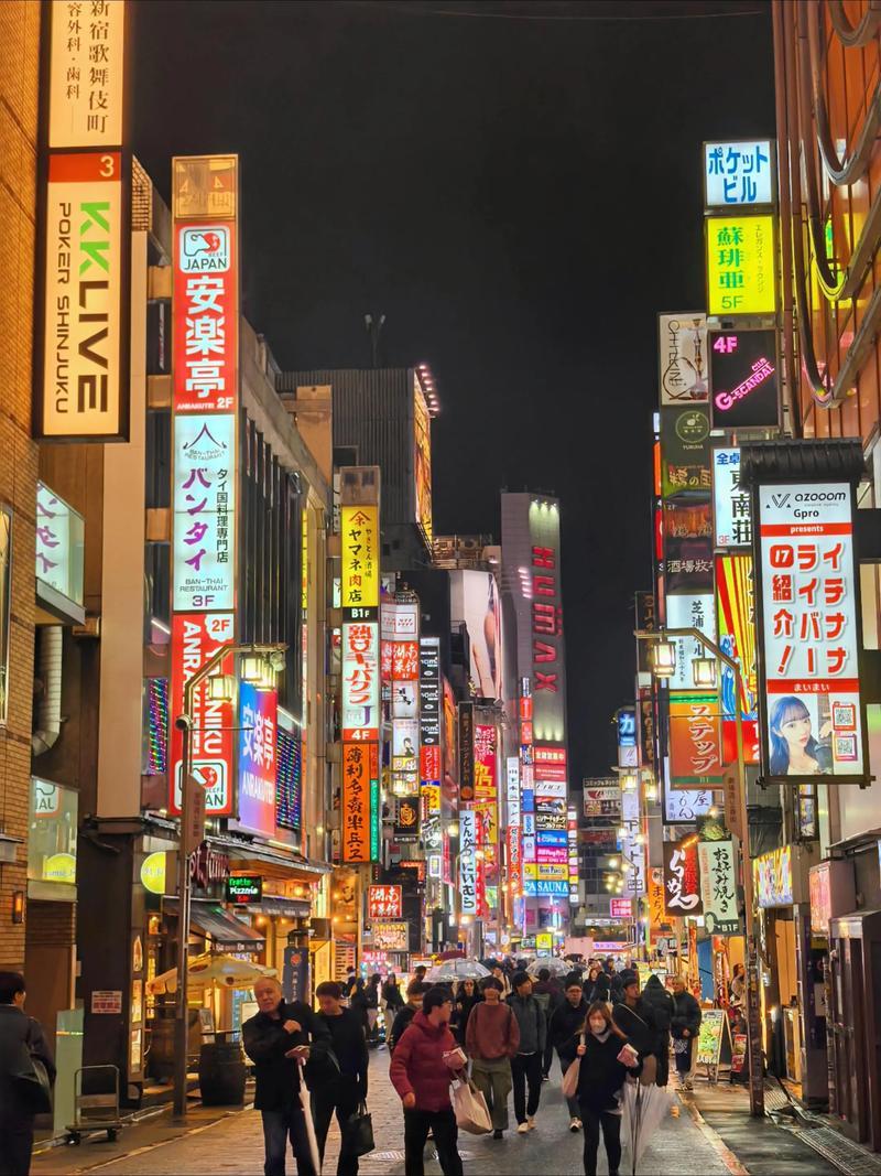 2026年去日本旅游，成本恐将升高！ 日本拟2026年度上调签证申请手续费至欧美