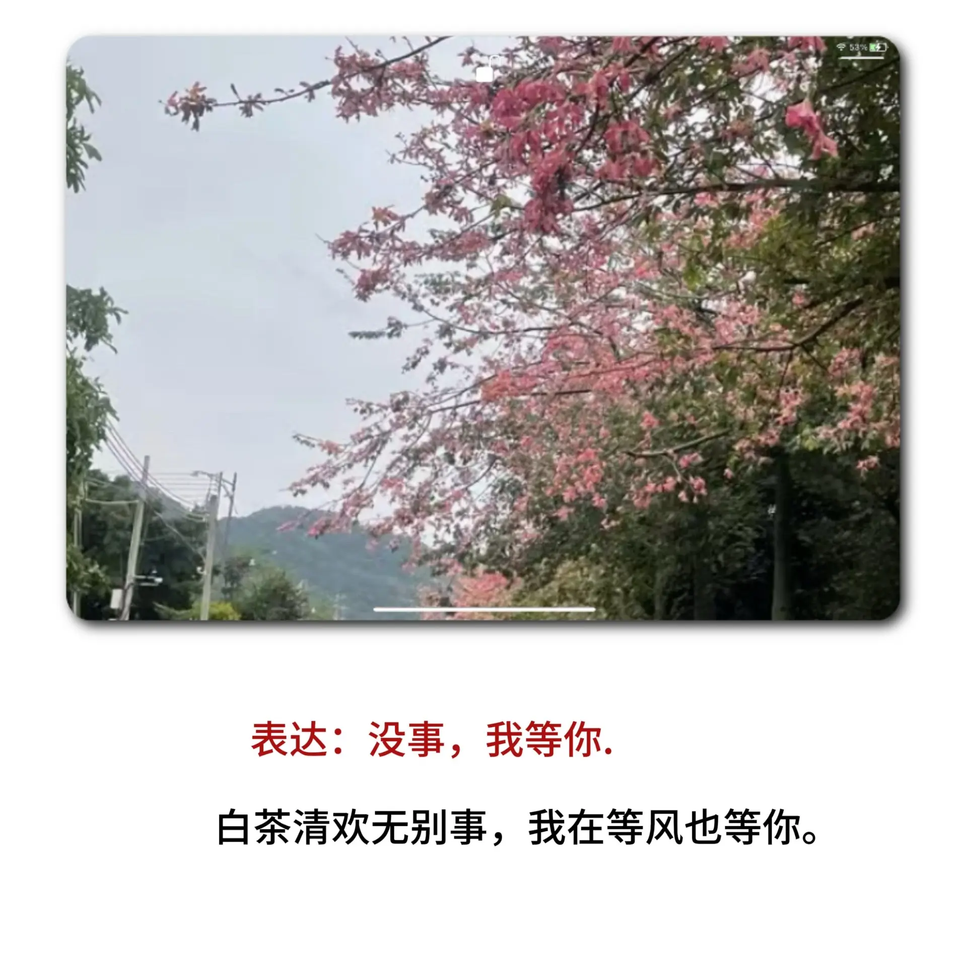 背下来你也是才子佳人