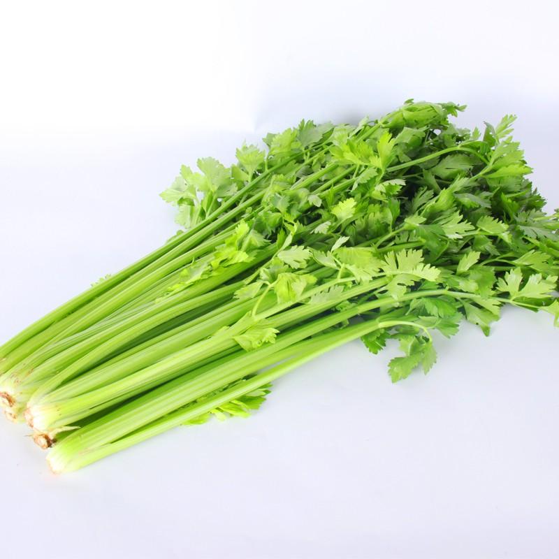 能吧
都说芹菜叶子是降血压的
不知道真假
不过芹菜叶烧汤挺好喝的