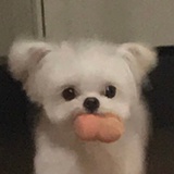 小圆圆侃侃科技