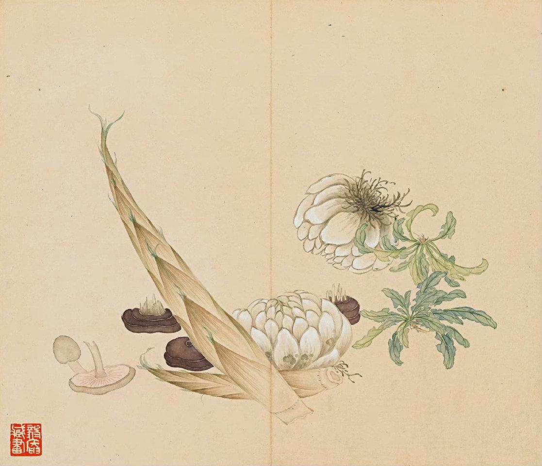 沈周十五岁那年，
朝廷摊派粮长的差事，
落到他父亲头上，
这份差事费力又赔钱，