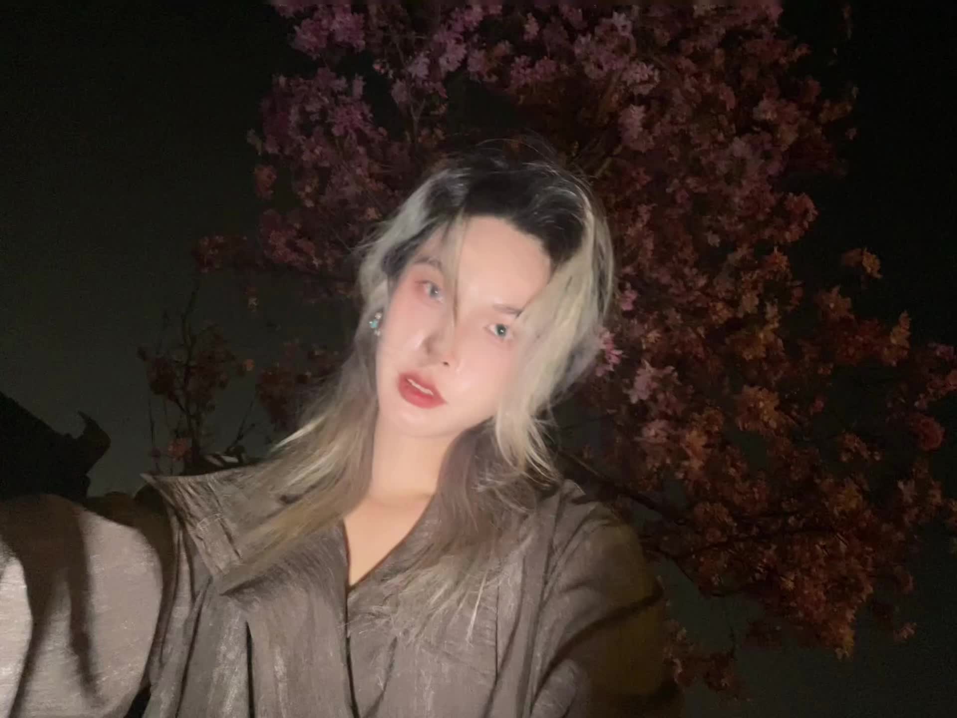 凌晨四点  我看见海棠花未眠