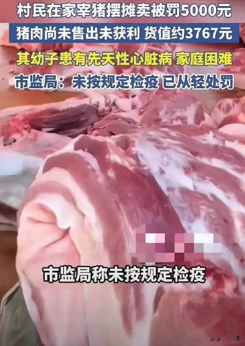 没卖一斤肉却被罚5000！云南村民宰猪背后，谁的错？
 
云南砚山48岁的杨某艳