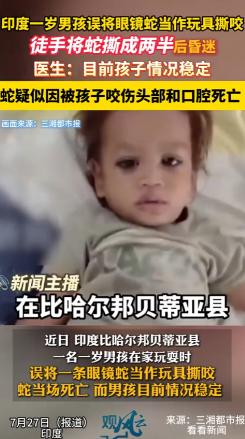 “太厉害了！”印度一名1岁男孩在家里玩耍时，不小心把一条眼镜蛇当成玩具，竟然用牙