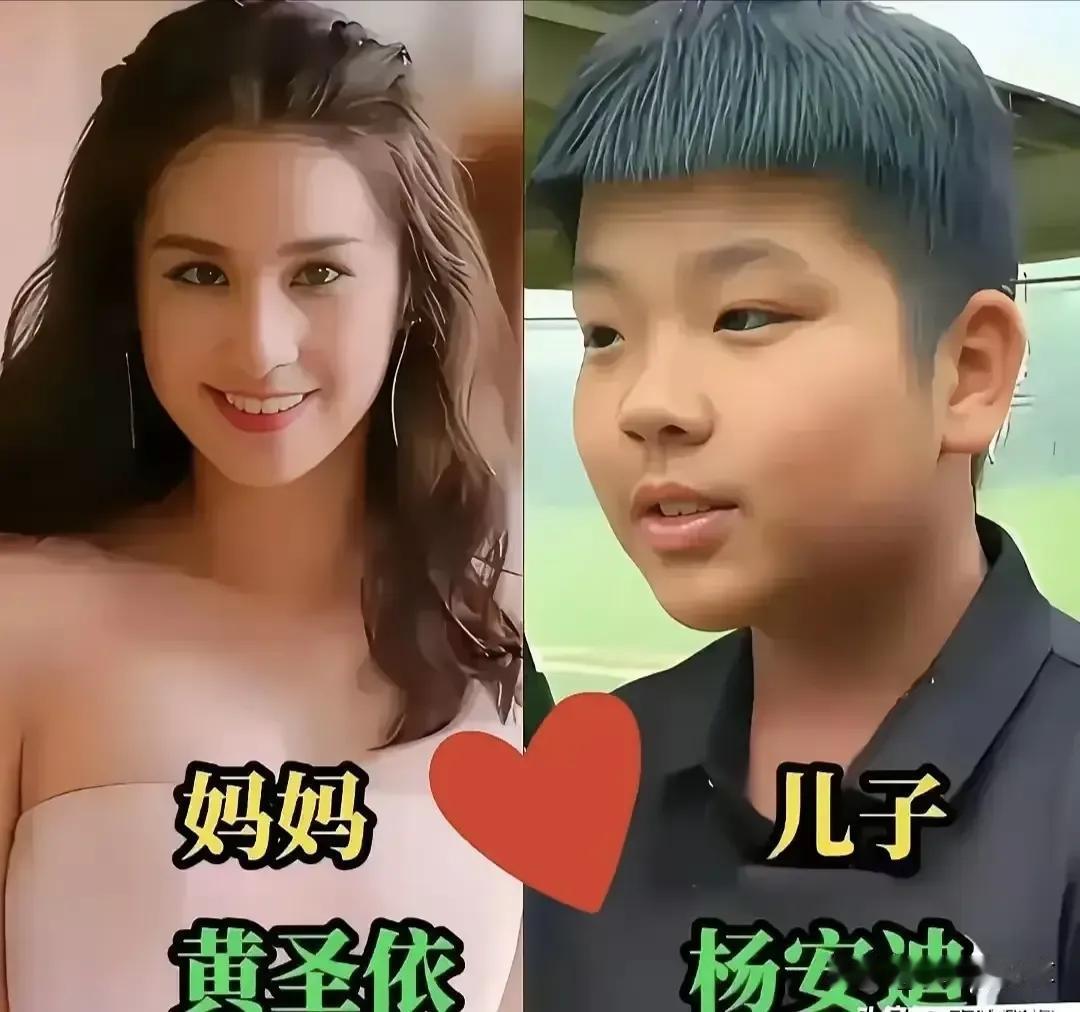明星妈妈和子女
黄圣依早期的颜值堪称惊艳,清纯中带着灵动。她的五官精致如画,眉眼