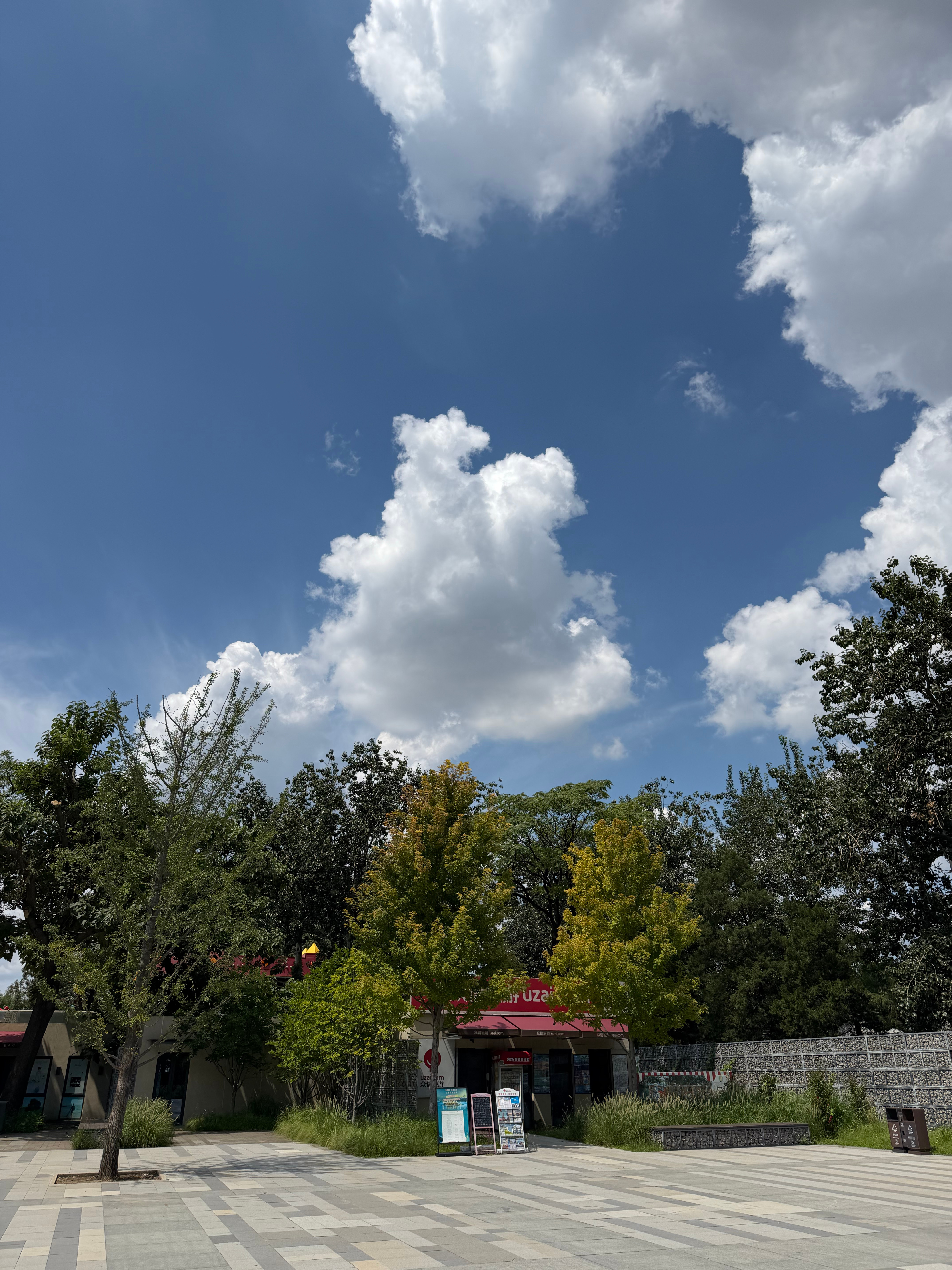 跑不动先生的日常  10公里慢跑恢复一下最近北京的天气真的舒服多了即使是中午 跑