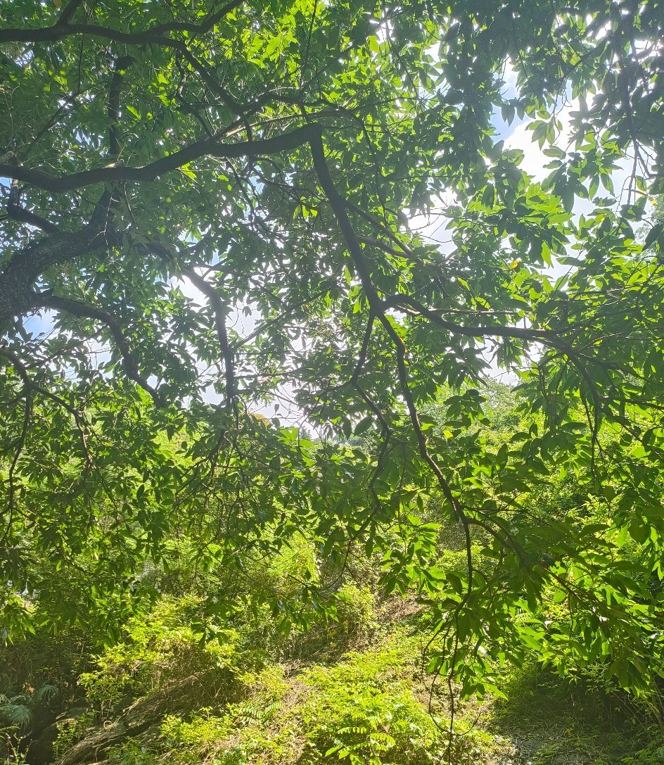 晚安好梦人生没有白走的路每一步都算数好的坏的都是经历得与失都是成长 