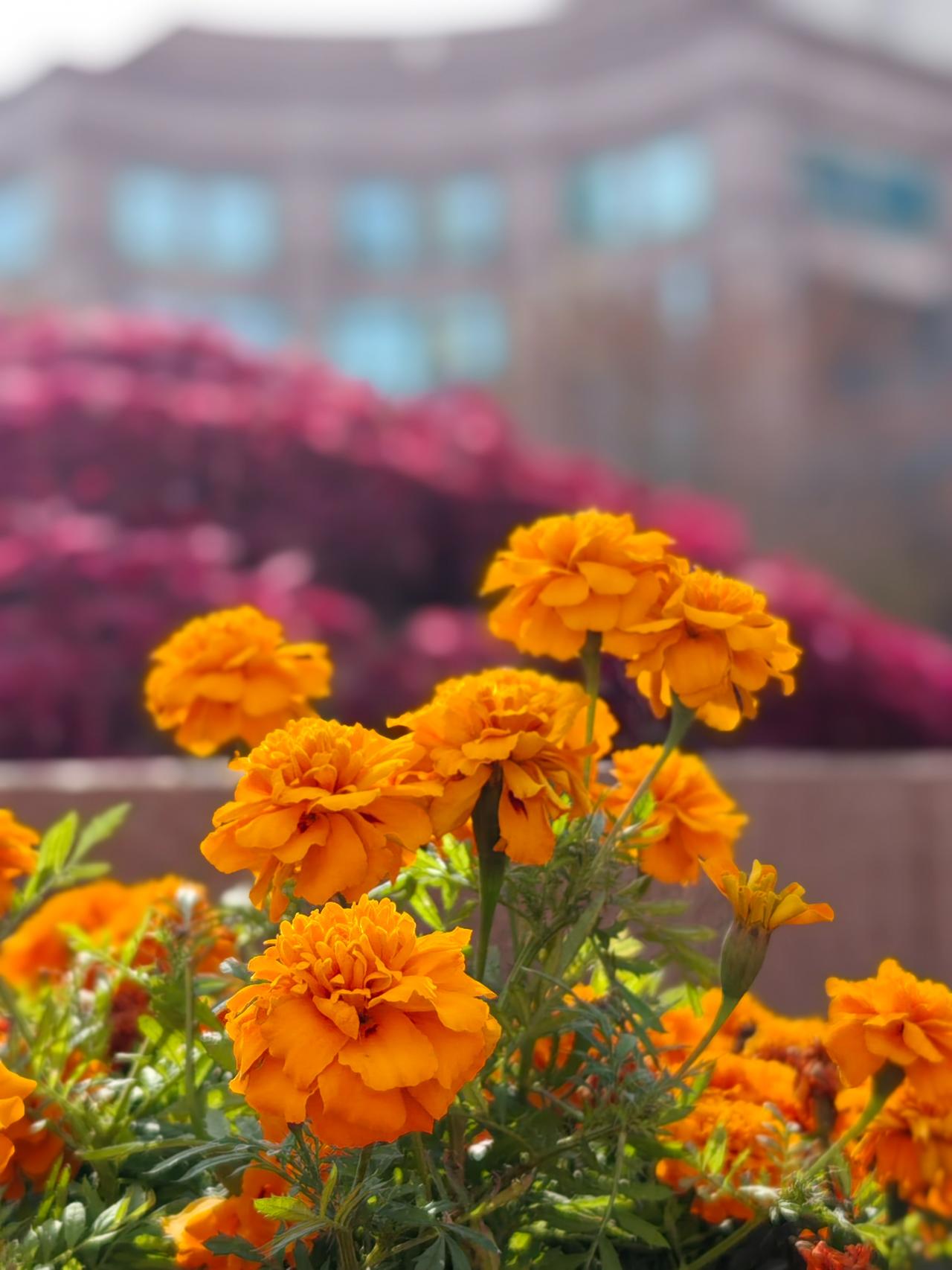 令人醍醐灌顶的一句话:
健康就是存款，快乐就是利息。既有存款又有利息， 世界才会
