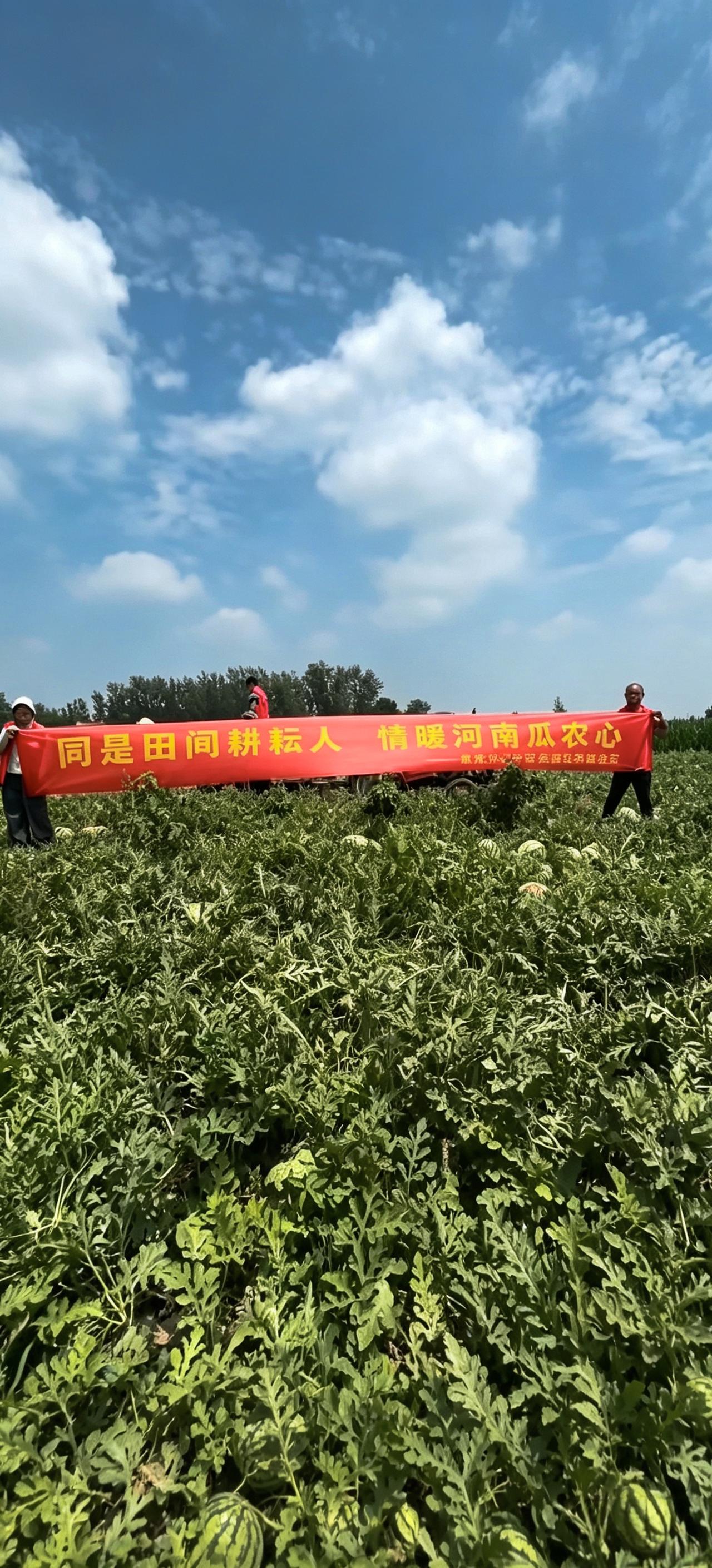 《昨天，南京这个地方吃瓜不要钱....》  
   坐落于江宁街道荷花社区的私享
