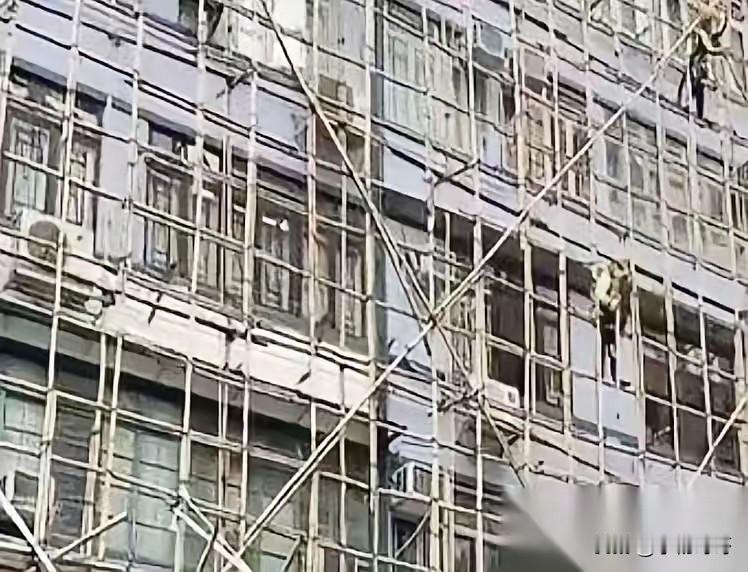 香港这次真的要变天了！

不是因为拆棚网的工程量大，也不是因为商户抱怨成本高，而