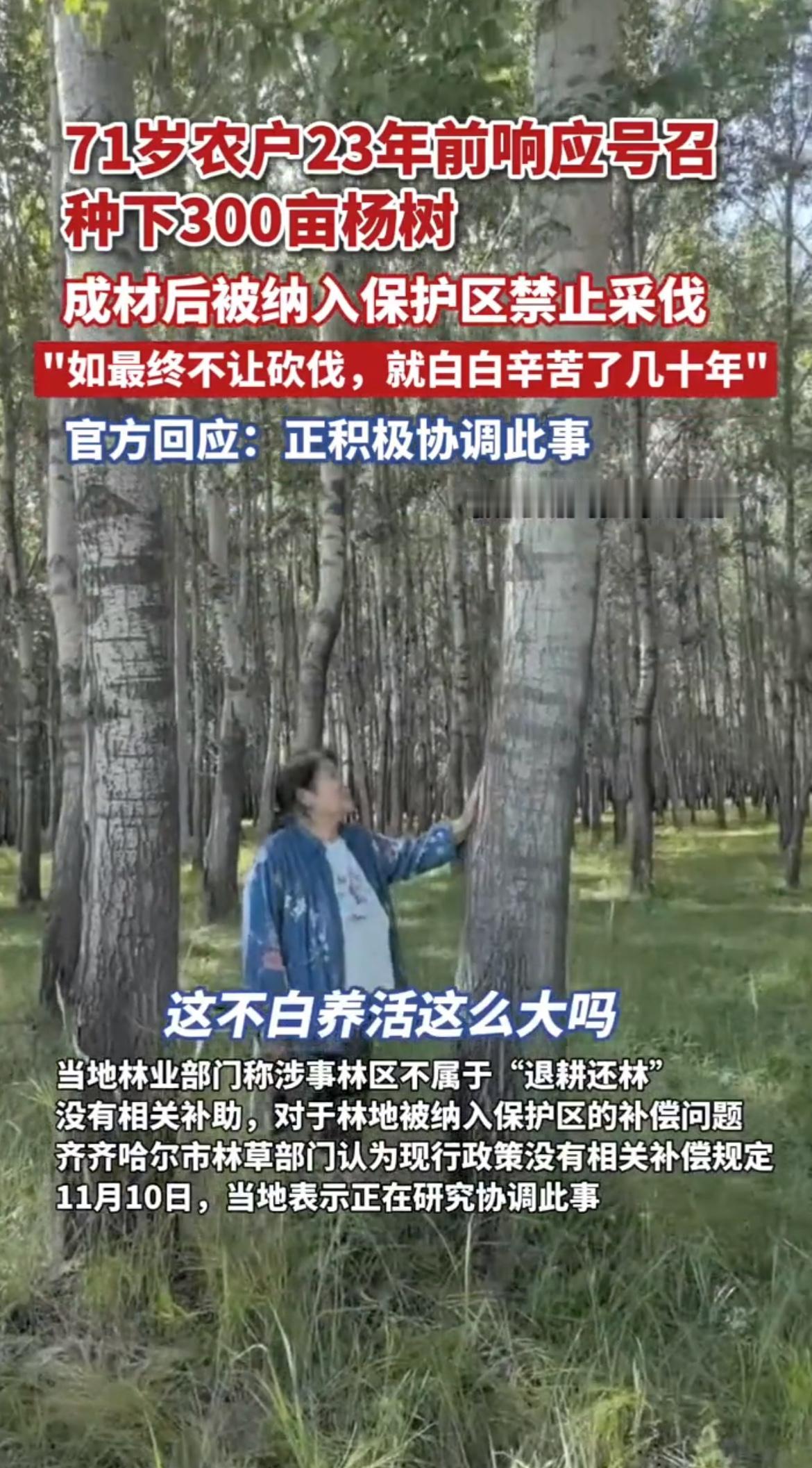 71 岁的农户种下 300 亩杨树，本指望几十年后能有个好收成，可谁能想到，这些