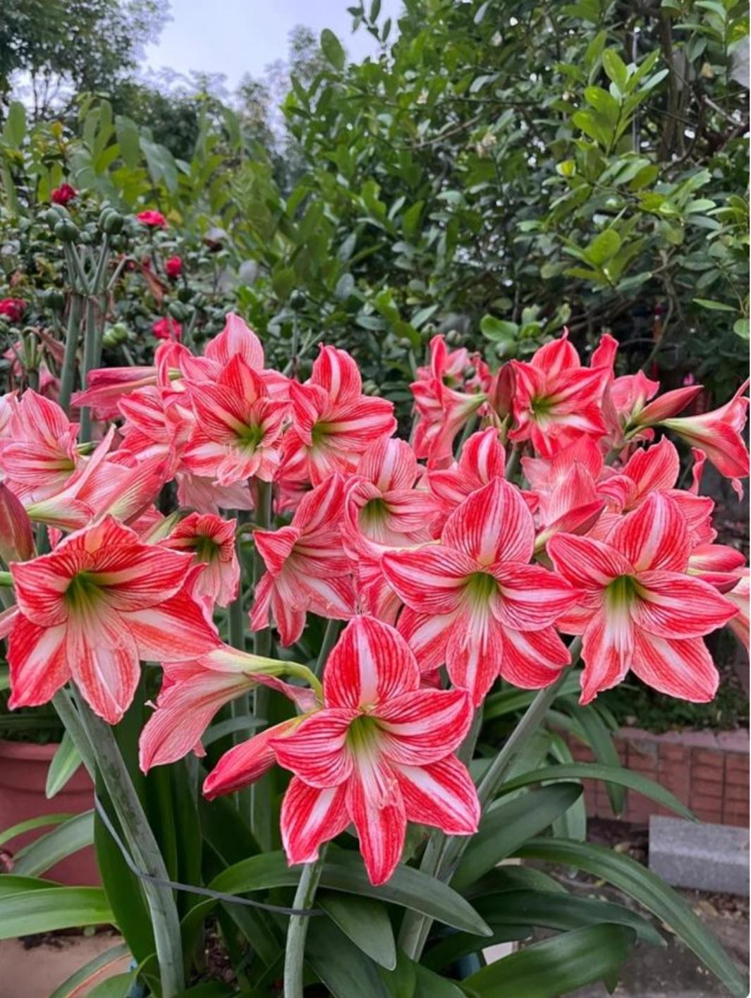 某一日，自己遭遇困境，日子难以为继，向他人求助，或是他人主动伸出援手。这并非他人