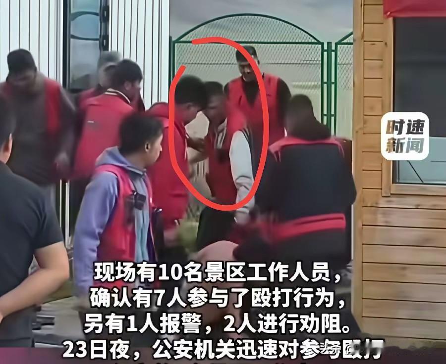 这个导游据说被要求补票才能进，但不知道为啥就是不排队补票，最后被景区的七人KO了