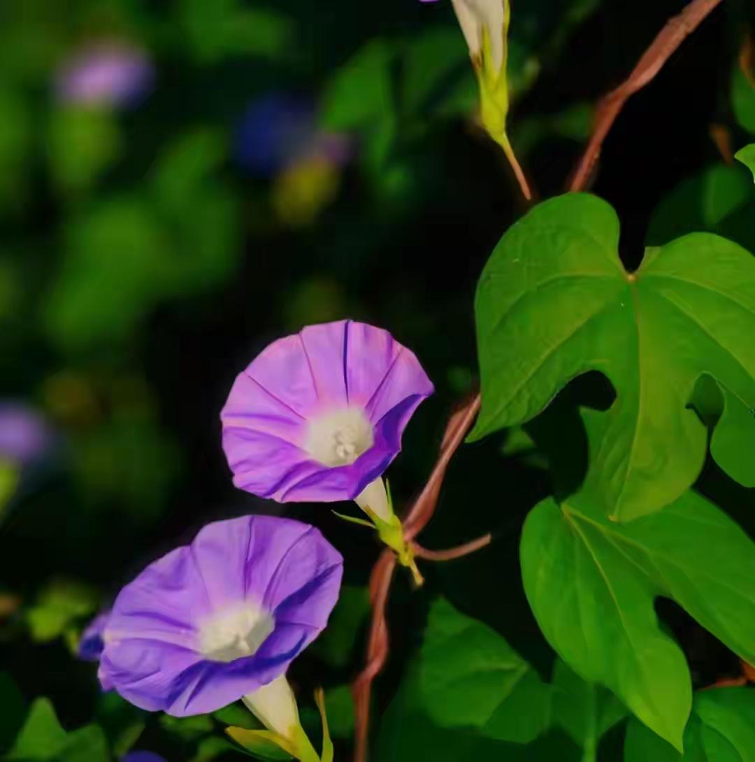 最舒服的两性关系，不是夫妻，却胜过夫妻
关于“最舒服的两性关系，不是夫妻，却胜过
