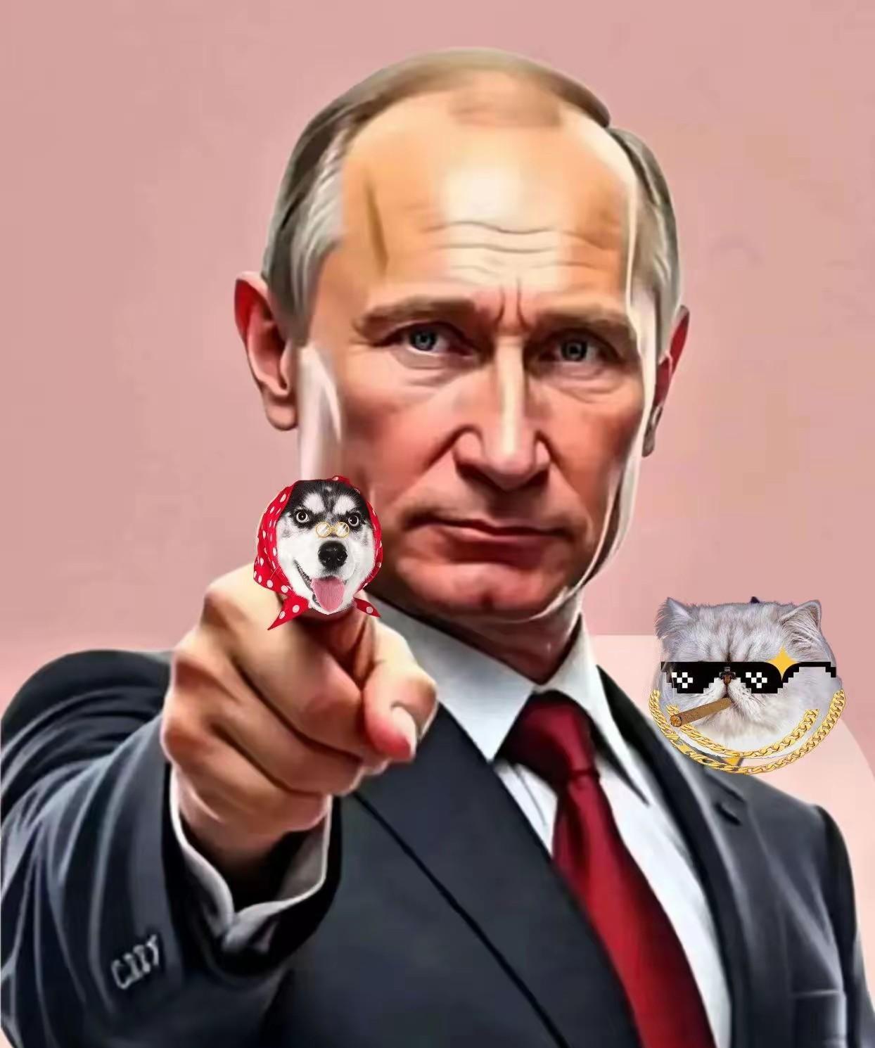 快讯！快讯！
 
俄罗斯总统普京突然宣布了。
 
11月4日，普京签署决定，派总