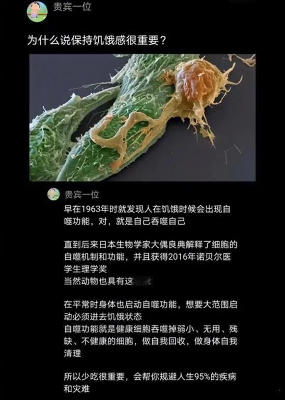 减肥路上的必备技能，就是保持饥饿感#减肥难度如何？# #定个减肥计划吧# #减肥