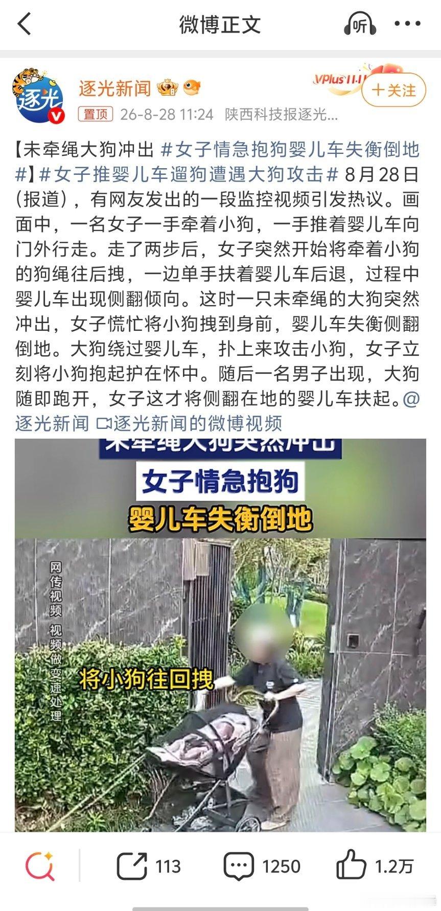 女子推婴儿车遛狗遭遇大狗攻击先抱小狗，再去管侧翻的婴儿车，很多人一开始以为婴儿车