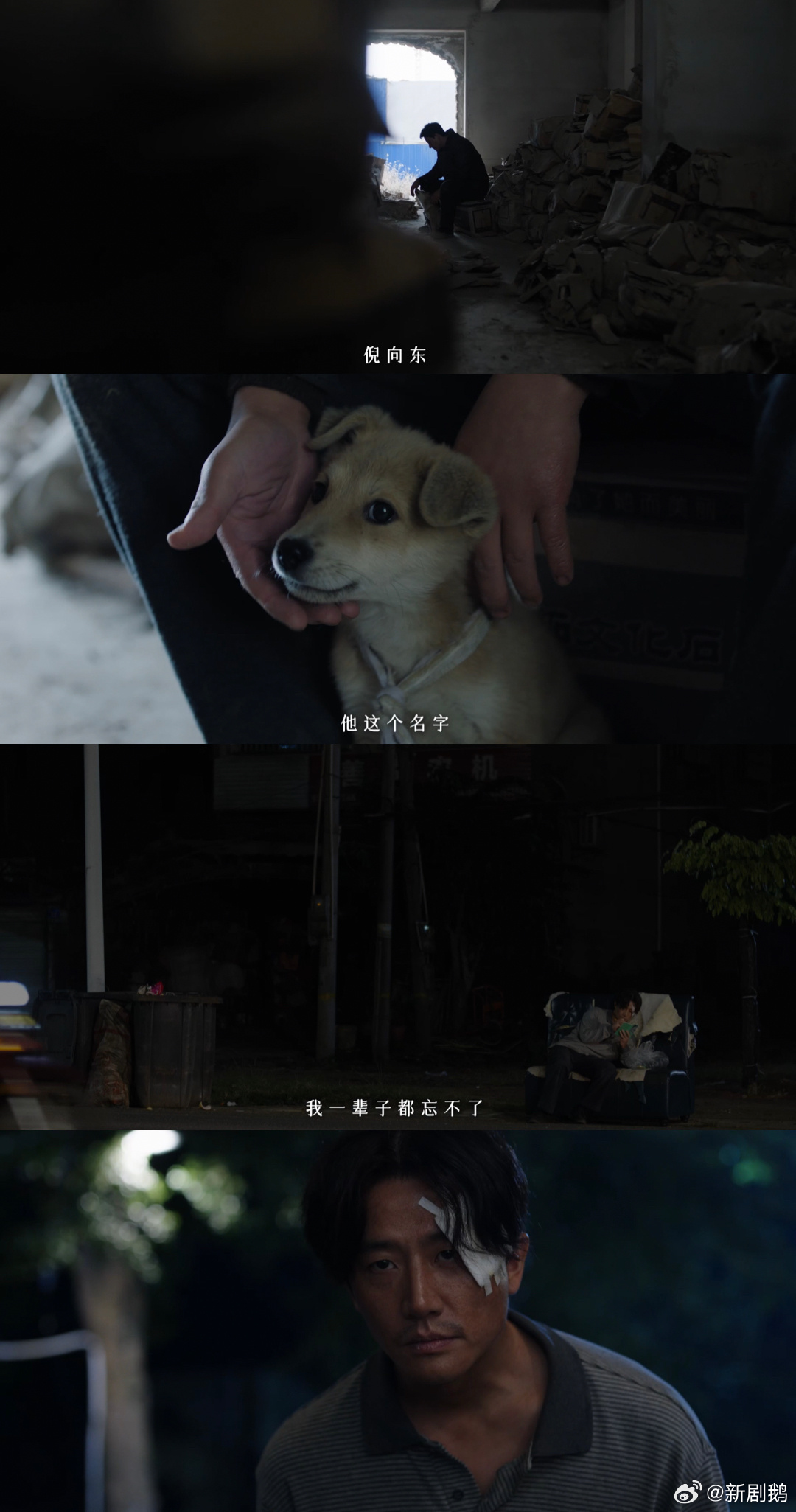 不敢杀鸡的难道就不会是凶手吗 别被 “不敢杀鸡” 的老实样骗了！徐庆利的无害形象