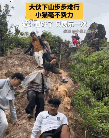 笑不活了！一行人下山途中手脚并用，互相搀扶着还走得战战兢兢，狼狈至极。就在这时，