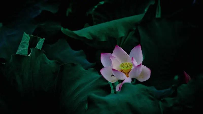 不要在你失去幸福的地方，继续寻找它，就像曾经谈过一场很糟糕的恋爱，在那段感情里满