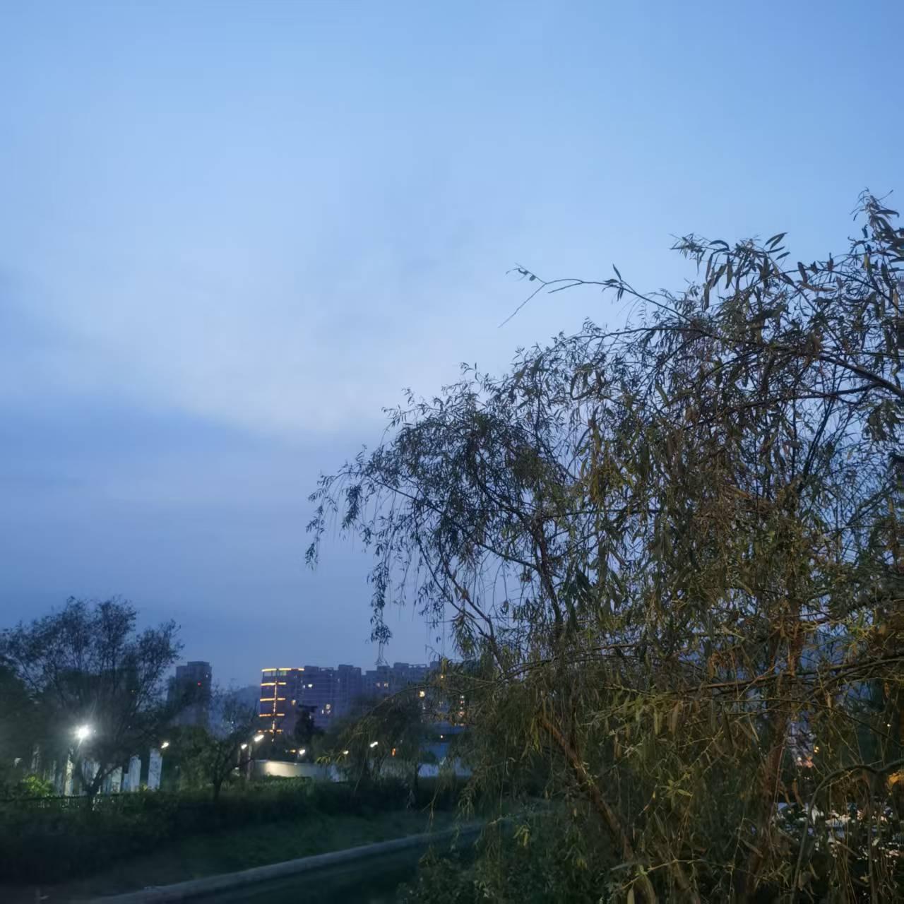 我们终走散了。

那一年，我与老公刚结婚，住在单位分的小套间。她突然来找我，带着