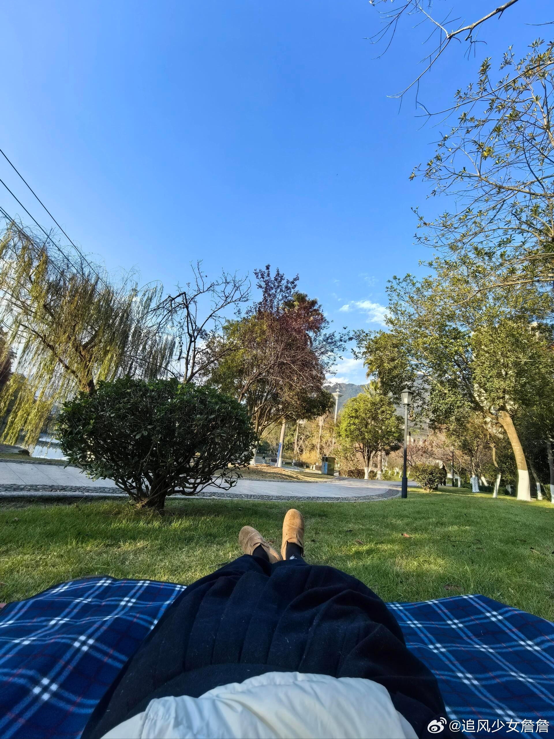 冬日午后的三点 去公园晒一晒老己 和土地连接 和阳光融合  接受差强人意的 允许