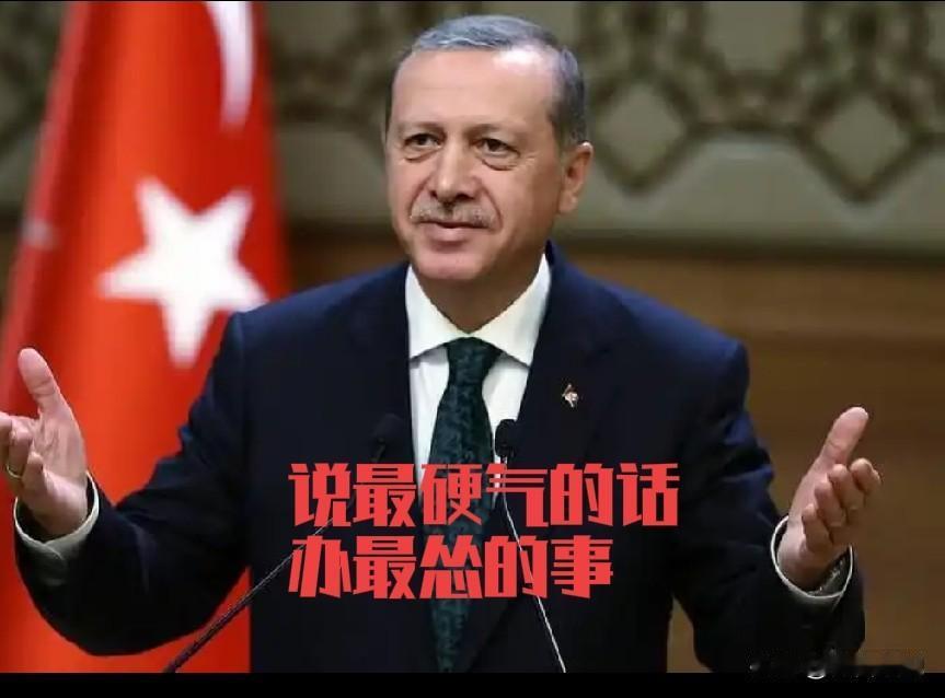 埃尔多安这个人不仅是墙头草，他还是一个随风倒的墙头草，必须警惕。埃尔多安心中有奥