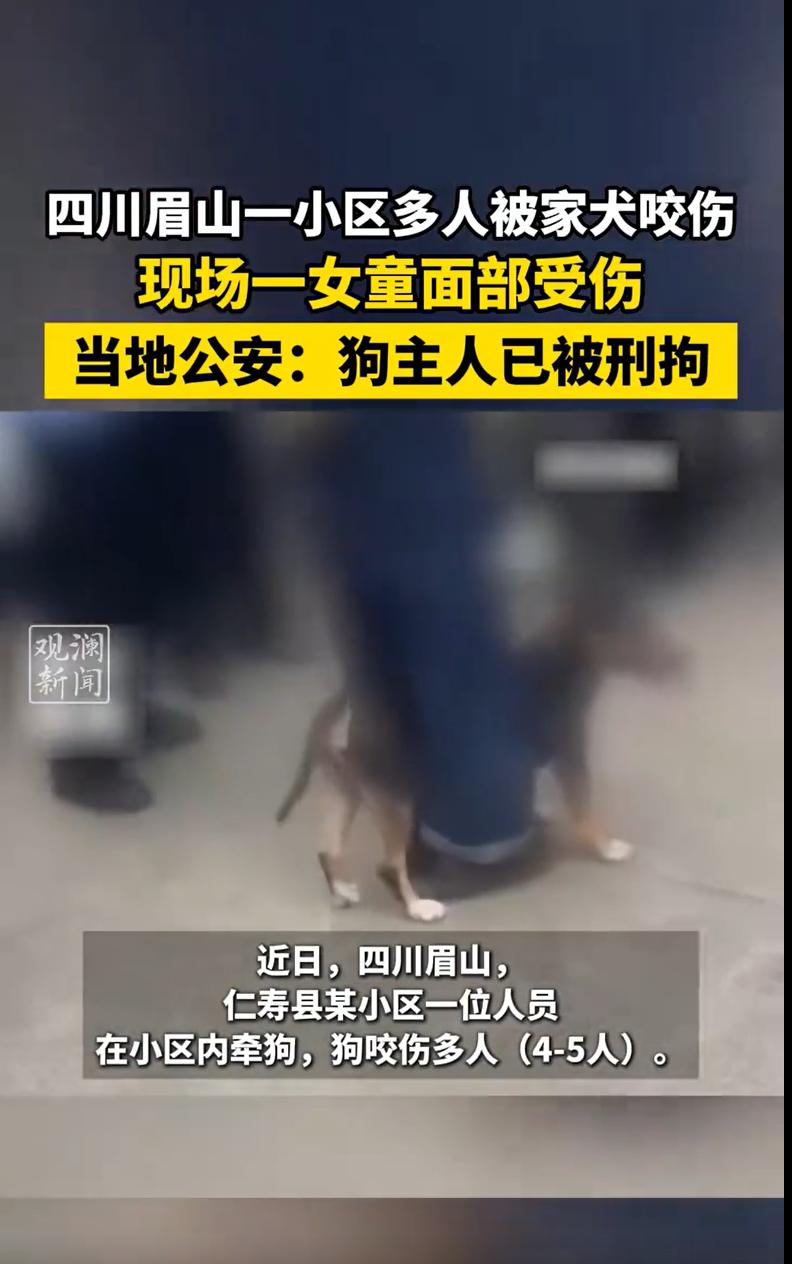 “又是恶狗伤人，必须严惩！”四川眉山，有网友发视频称某社区有人被狗咬伤，现场照片