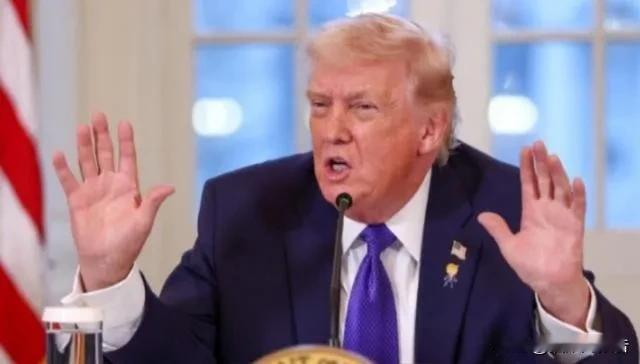 美国找了一圈“下一个中国”。
越南、印度、墨西哥，都试了。
结果呢？

前美国财