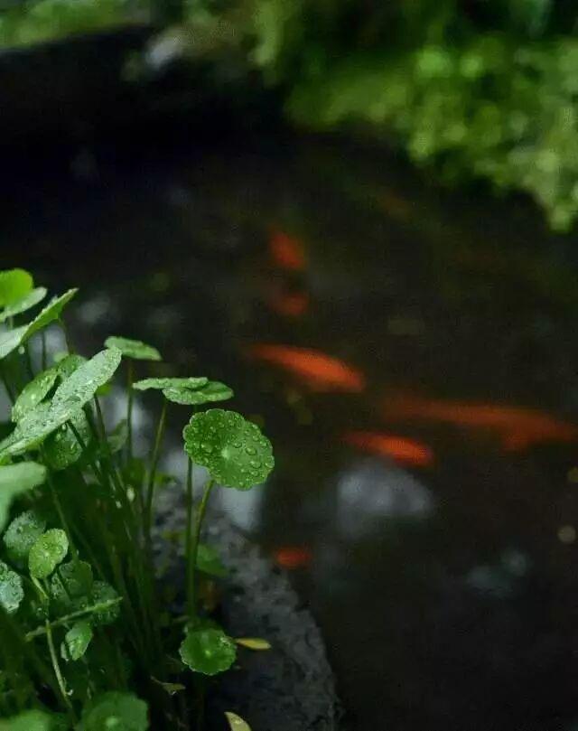 每当你觉得想要批评什么人的时候，你要记住并不是所有人都有你拥有的优势。     